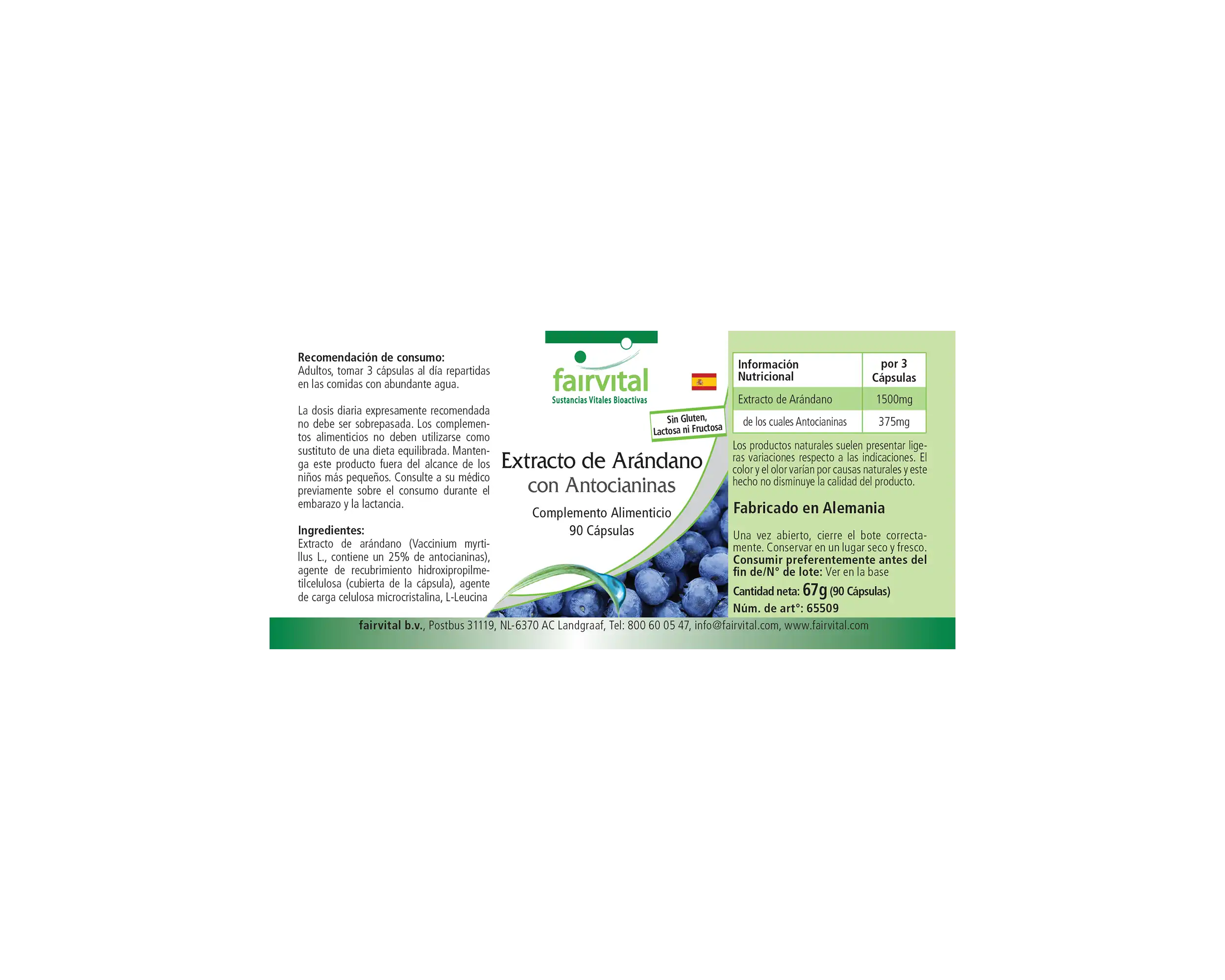 Heidelbeer-Extrakt mit Anthocyanen - 90 Kapseln - 25% Anthocyane - Hochdosiert und Vegan | Fairvital