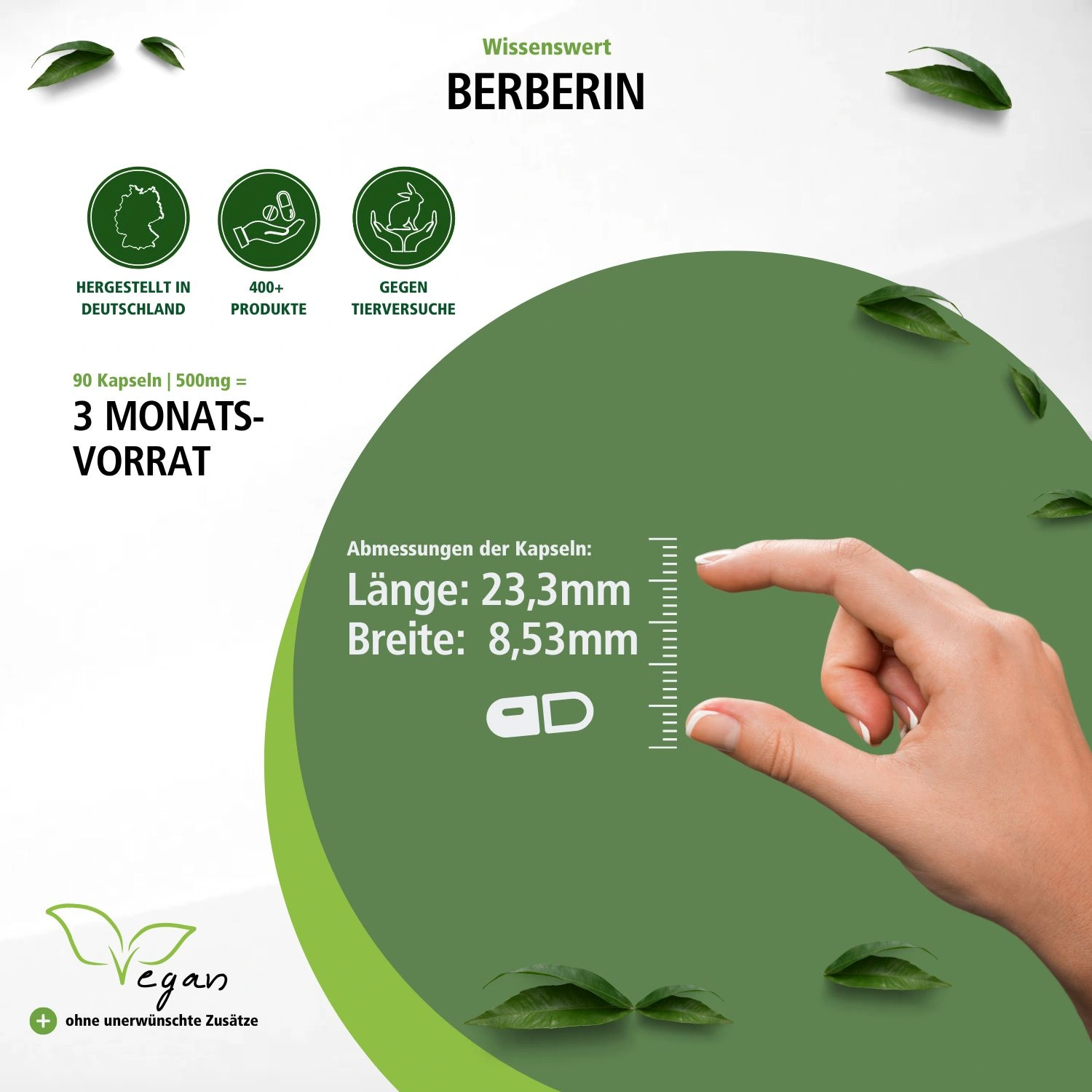 Berberine 500mg