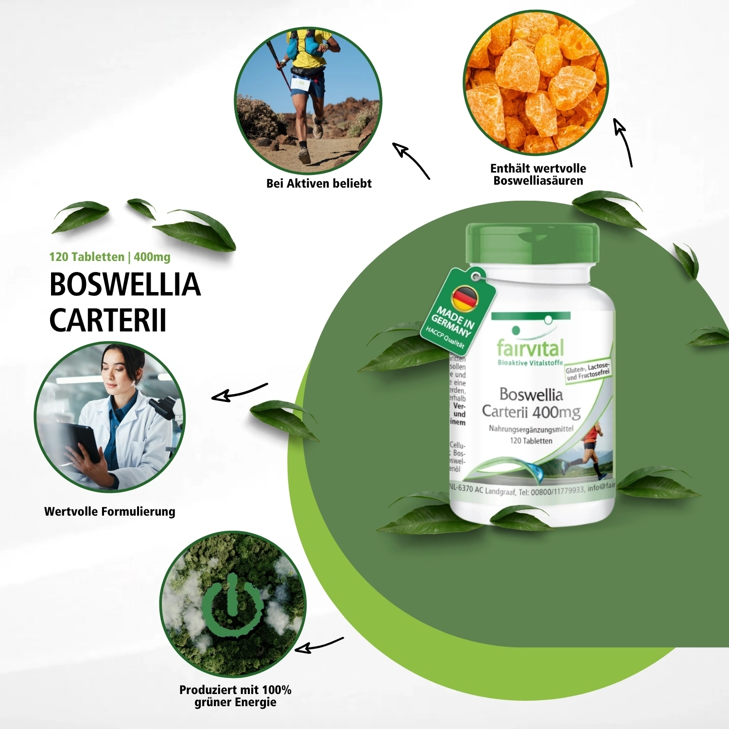 Boswellia Carterii 400mg