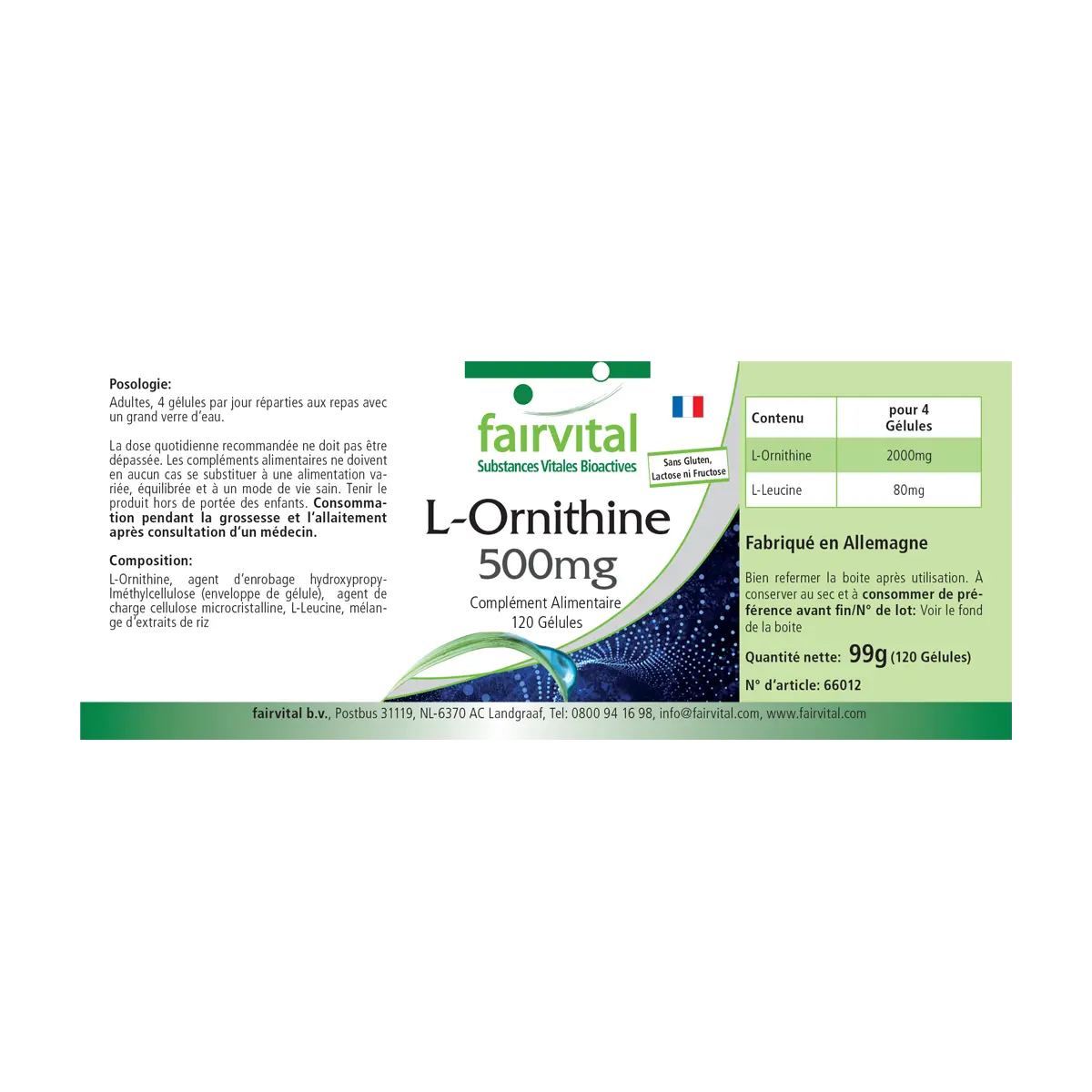 L-Ornithin 500mg  - 120 Kapseln - Hochdosiert und Vegan | Fairvital L-Ornithin 500mg  - 120 Kapseln - Hochdosiert und Vegan | Fairvital
