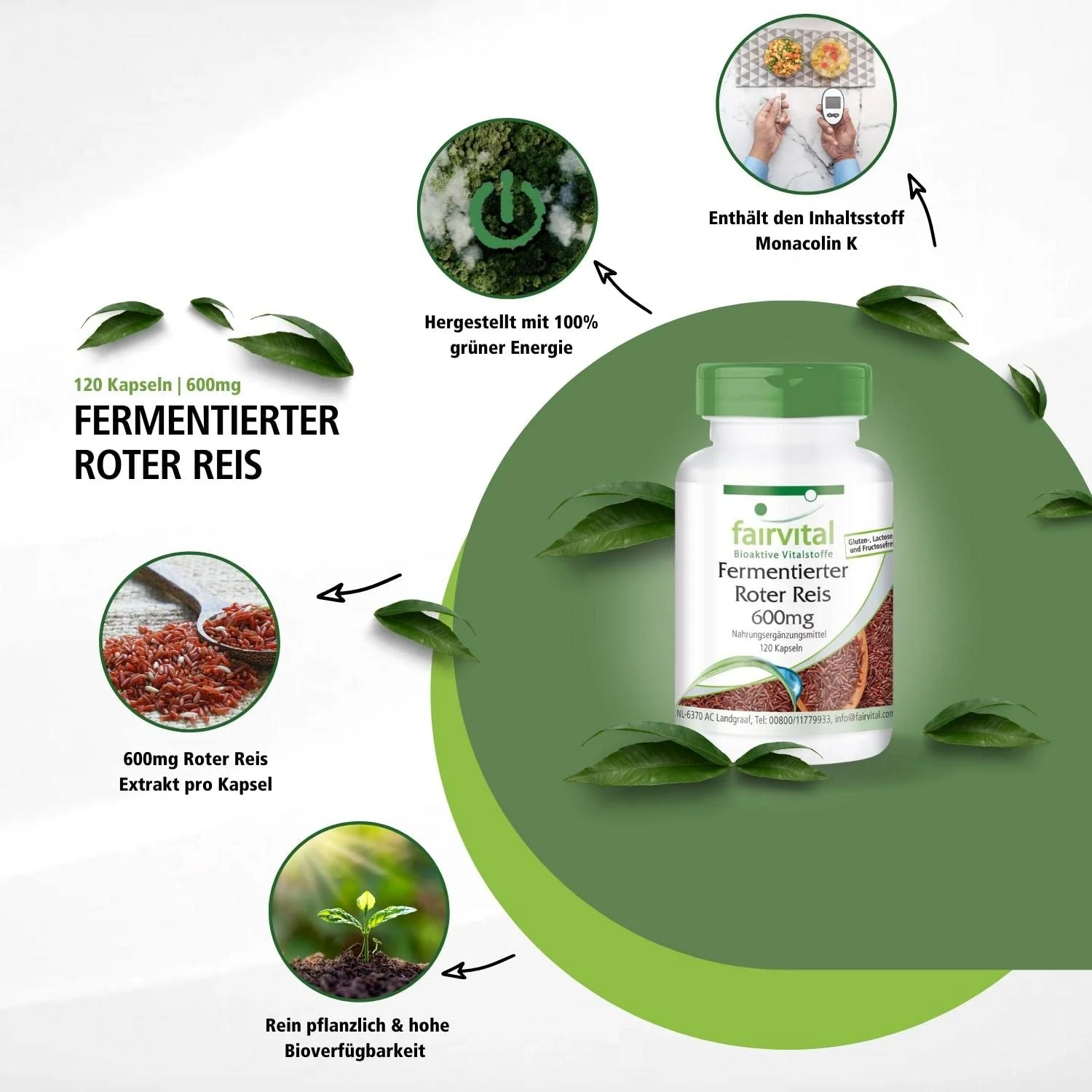 Fermented red rice 600mg