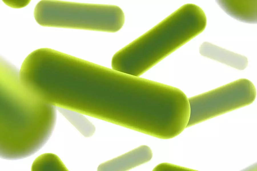 probiotika