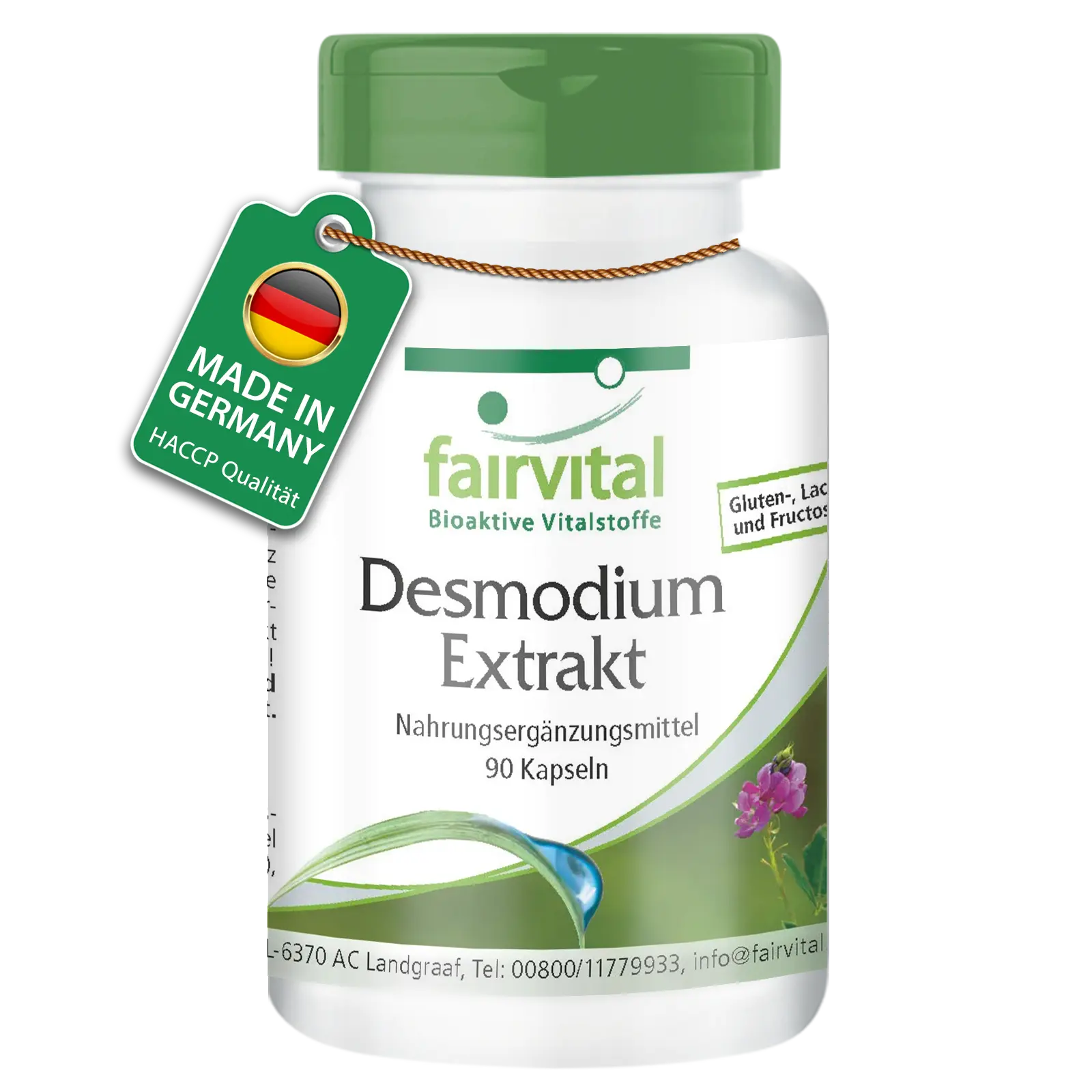 Desmodium Extract - 90 Capsules