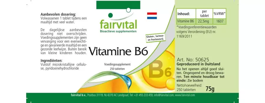 Vitamin B6 - 250 tablets