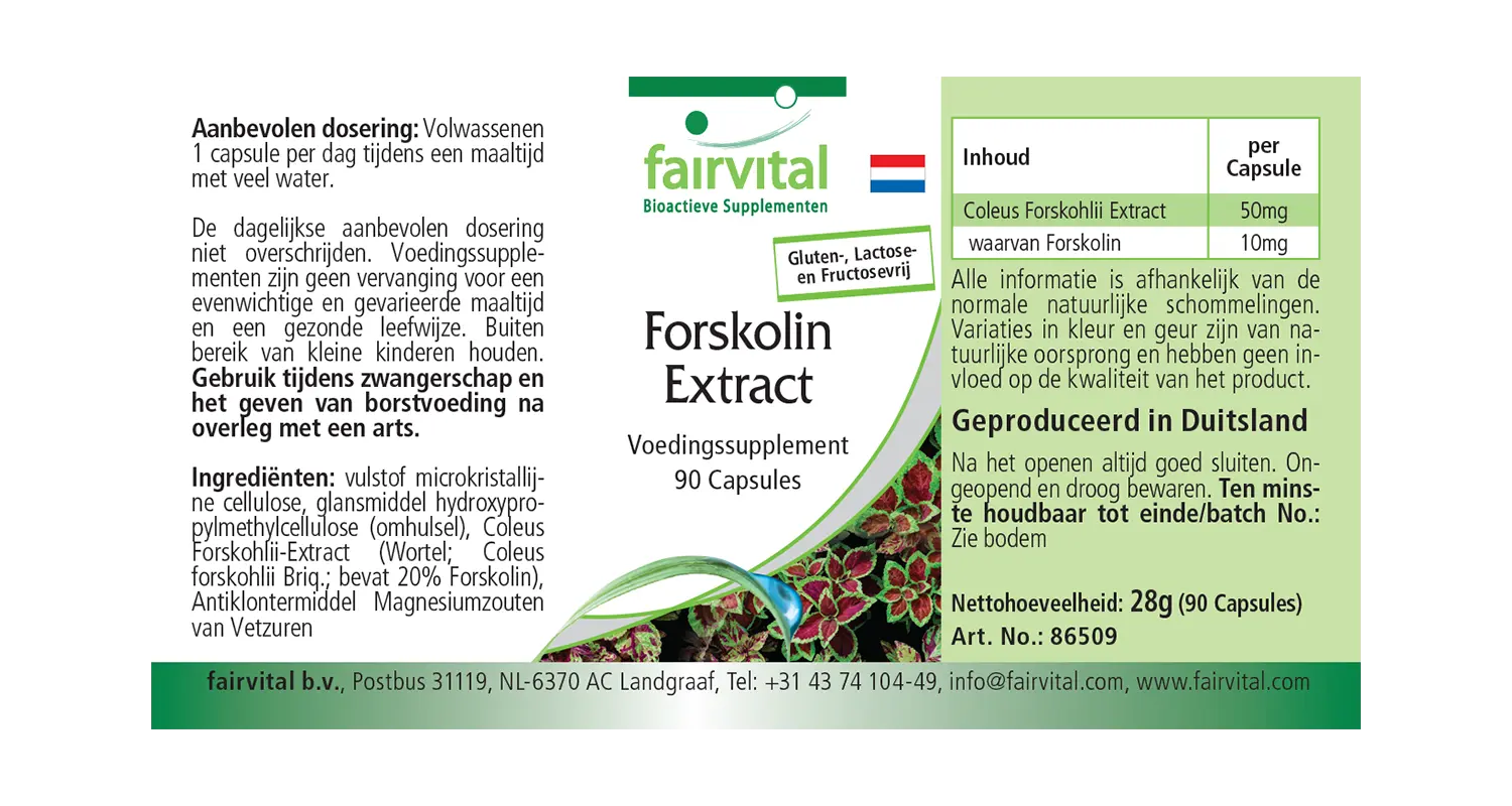 Forskolin Extrakt - 90 Kapseln - aus Coleus Forskohlii Extrakt - Hochdosiert und Vegan | Fairvital Forskolin Extrakt - 90 Kapseln - aus Coleus Forskohlii Extrakt - Hochdosiert und Vegan | Fairvital