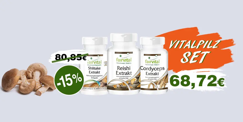 Vitalpilze-bundle-set-002-2024 Vitalpilze-bundle-set-002-2024