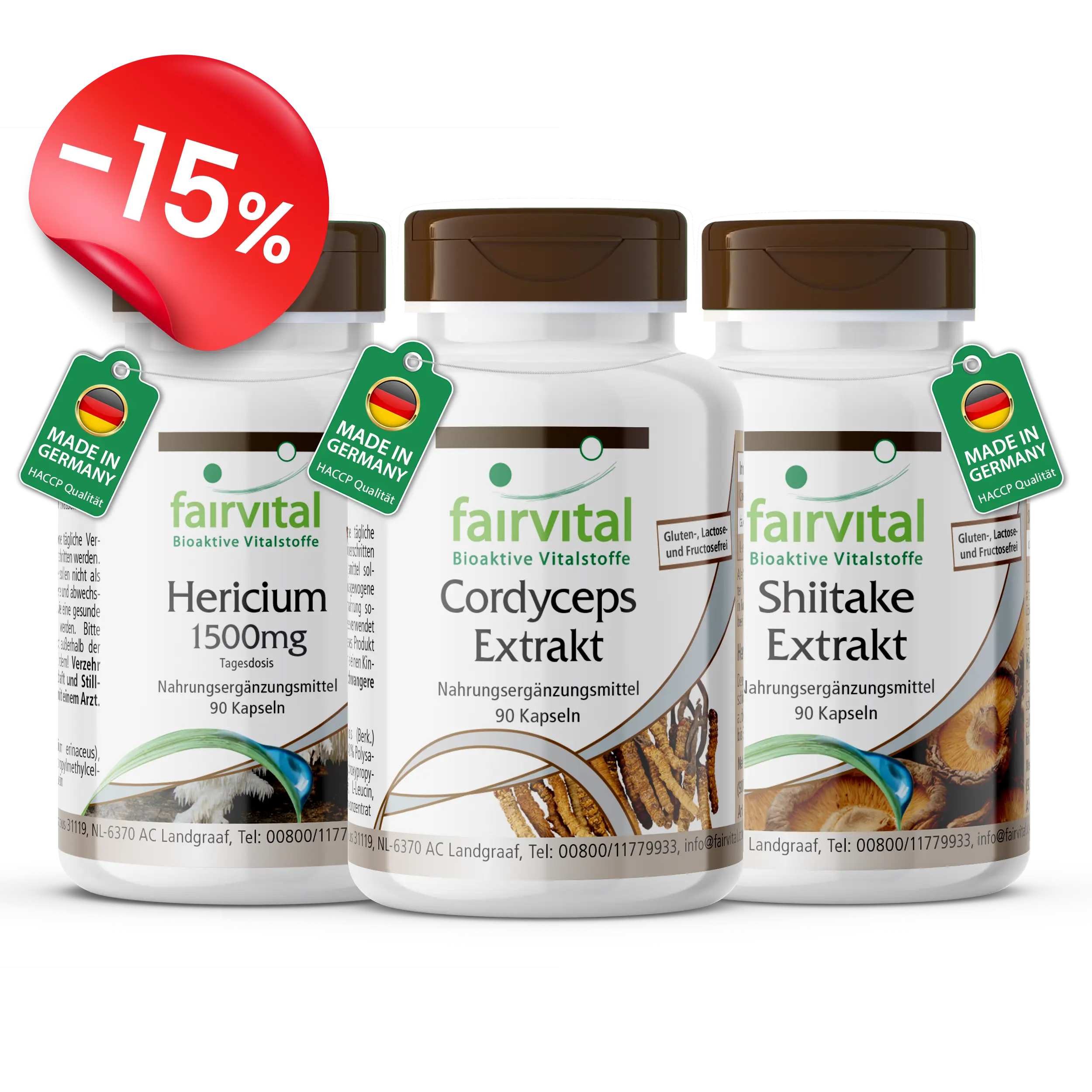 Vitalpilze Set