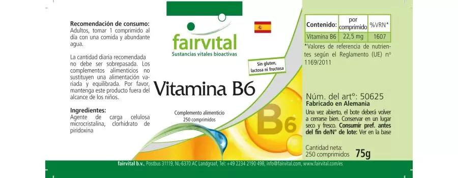 Vitamin B6 - 250 tablets