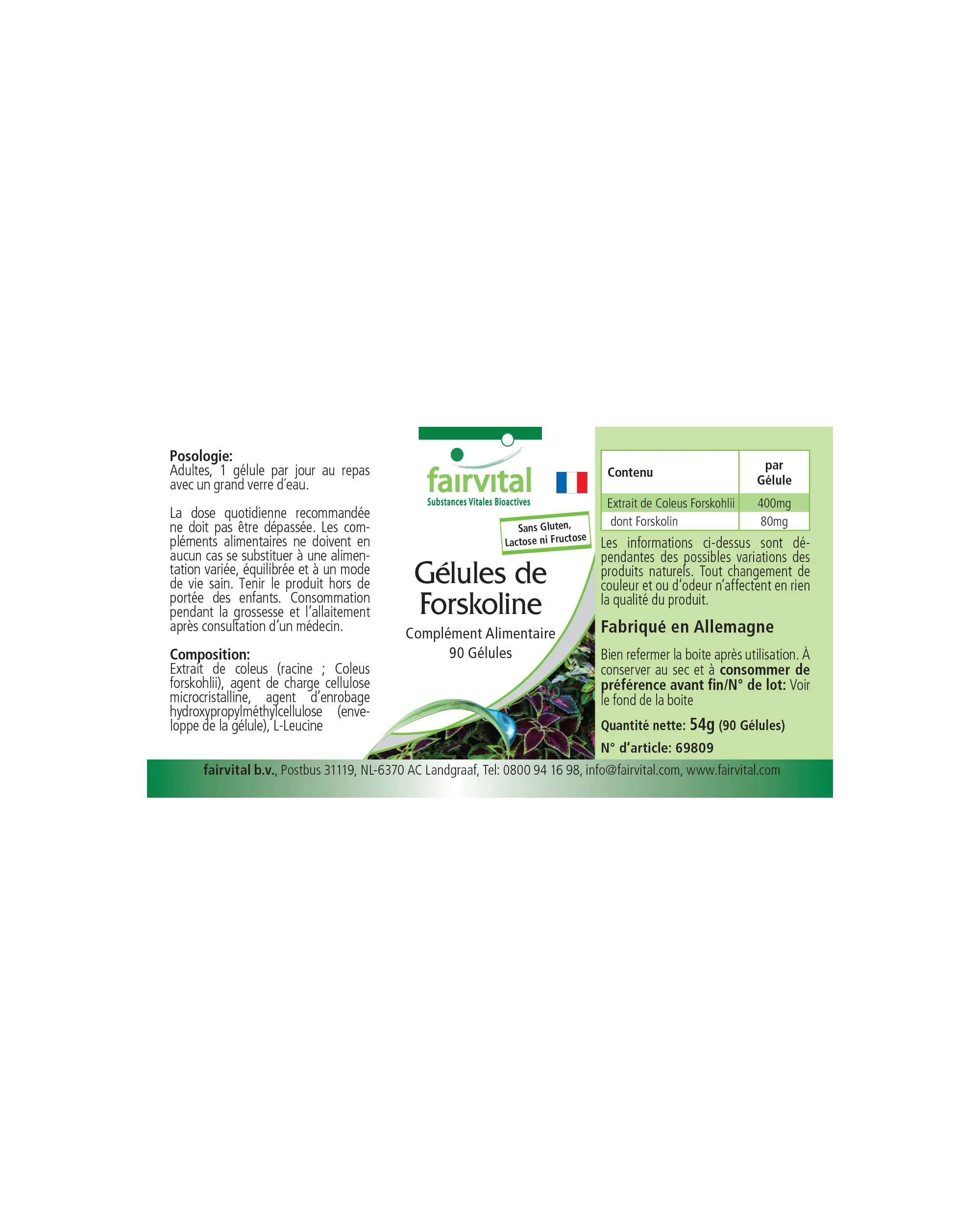 Forskolin Capsules - 90 Capsules - Coleus Forskohlii - Vegan