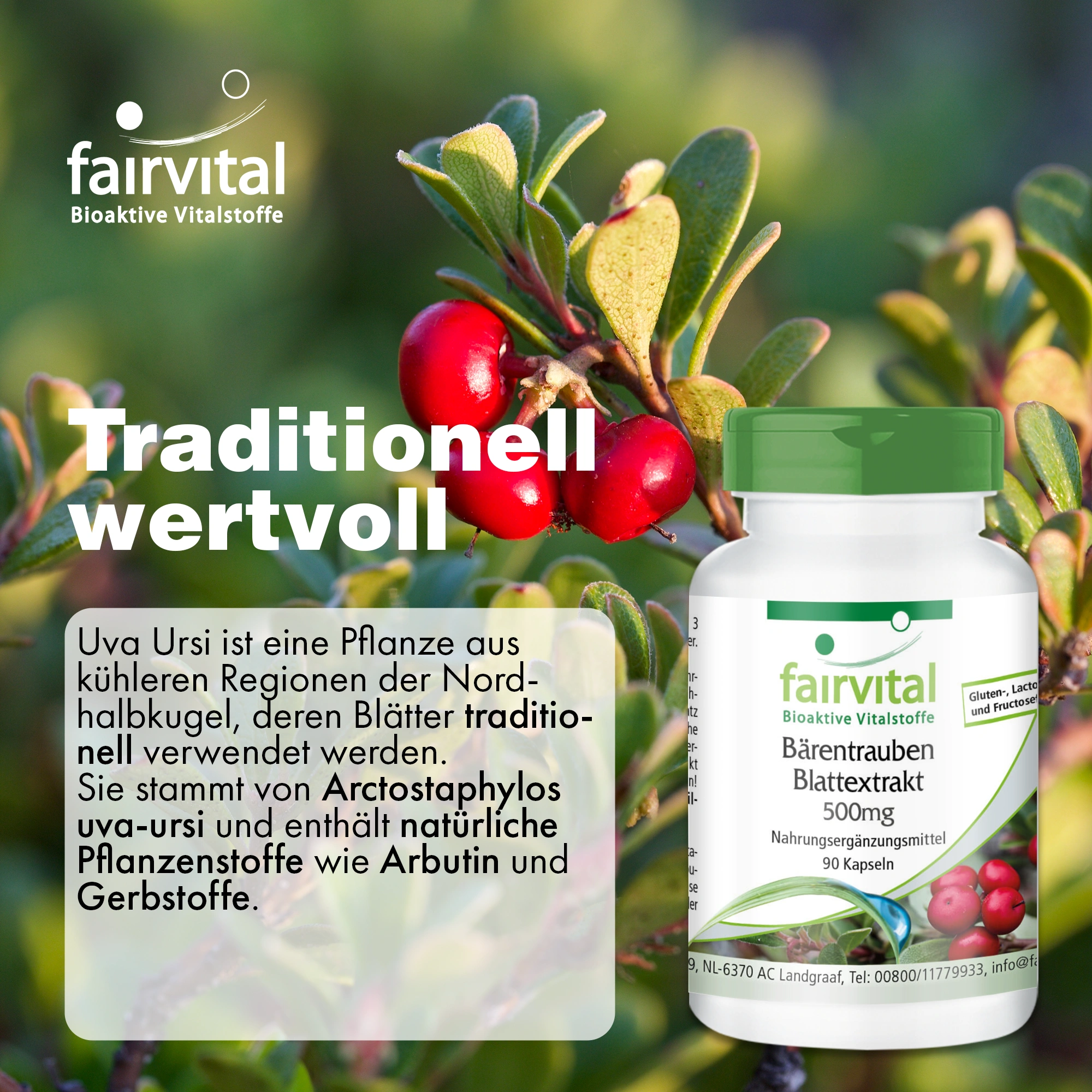 Bärentrauben Blattextrakt 500mg - mit 20% Arbutin - 90 Kapseln - Schluckfreundlich - Hochdosiert und Vegan | Fairvital