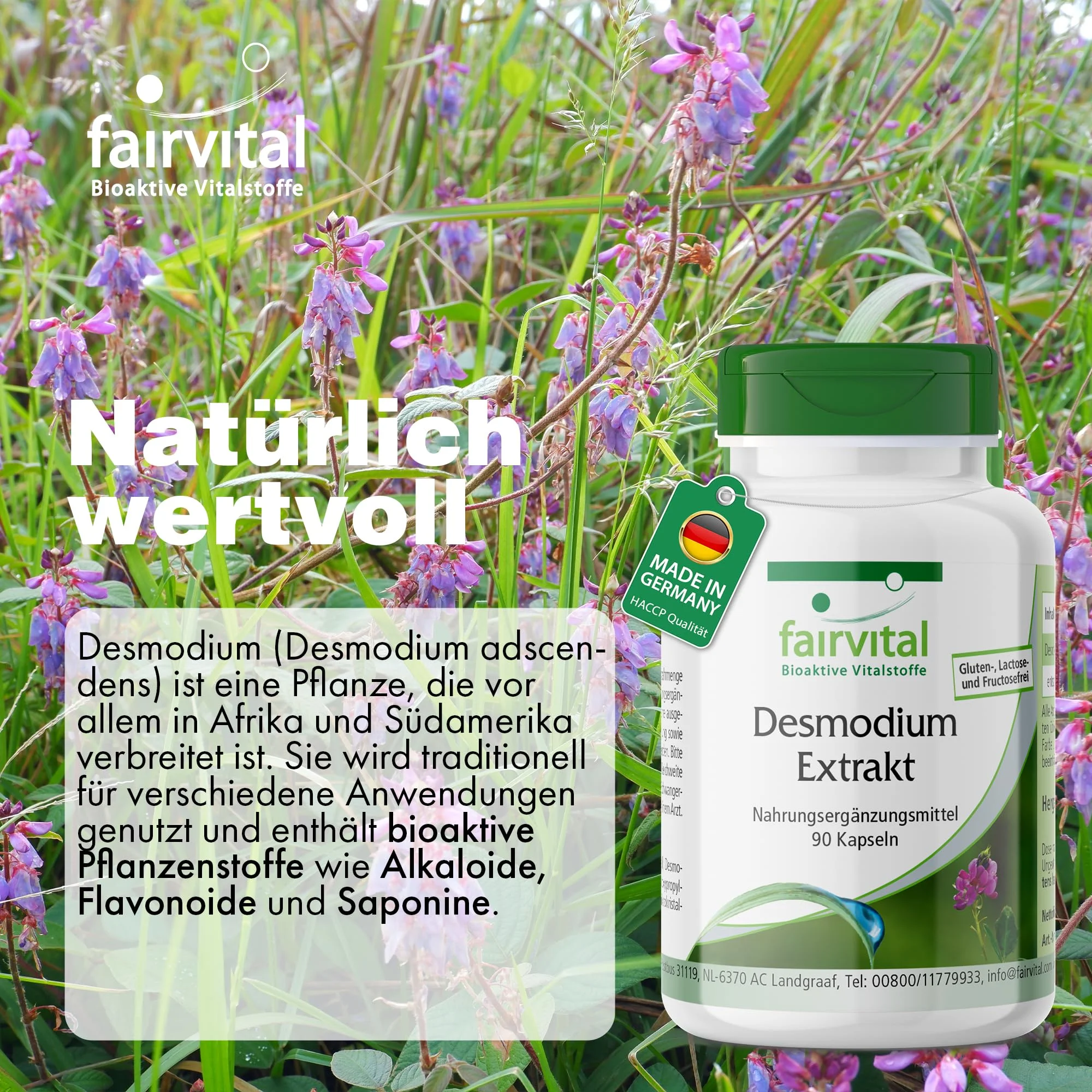Estratto di Desmodium