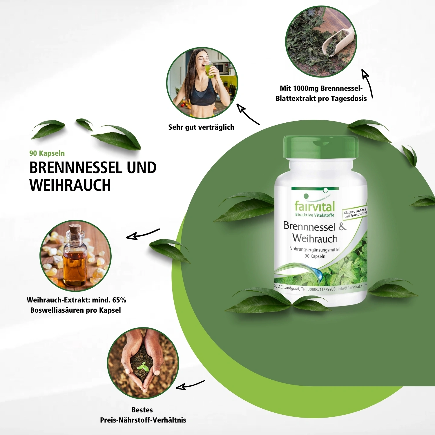 Brennnessel und Weihrauch - 90 Kapseln - Boswellia serrata - Hochdosiert und Vegan | Fairvital