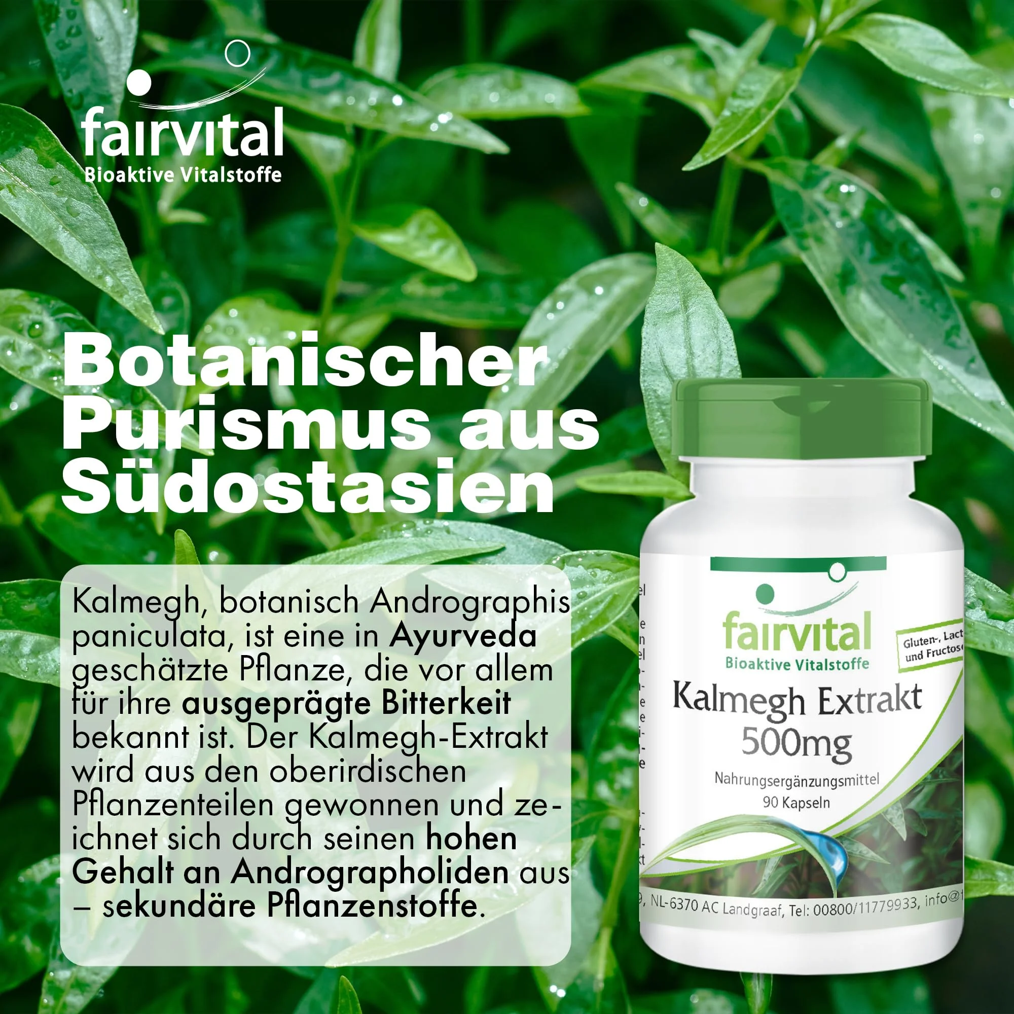 Kalmegh Extrakt 500mg - 90 Kapseln - Schluckfreundlich - 5-fach konzentriert - Hochdosiert und Vegan | Fairvital