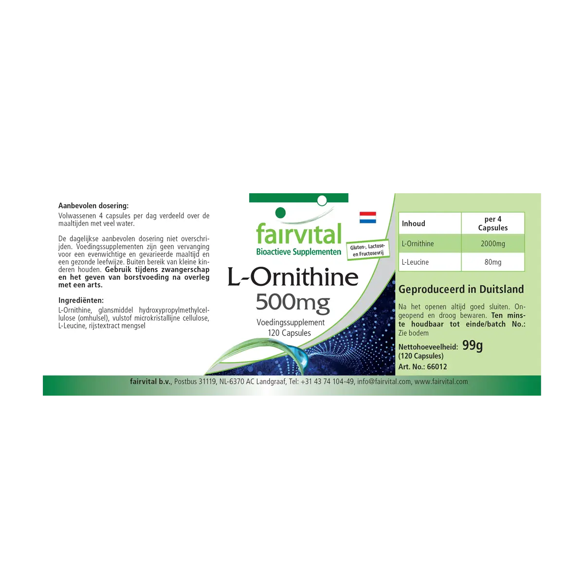 L-Ornithin 500mg  - 120 Kapseln - Hochdosiert und Vegan | Fairvital L-Ornithin 500mg  - 120 Kapseln - Hochdosiert und Vegan | Fairvital