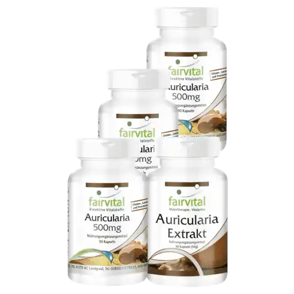 Auricularia supply for 3 months - 4 x 90 capsules