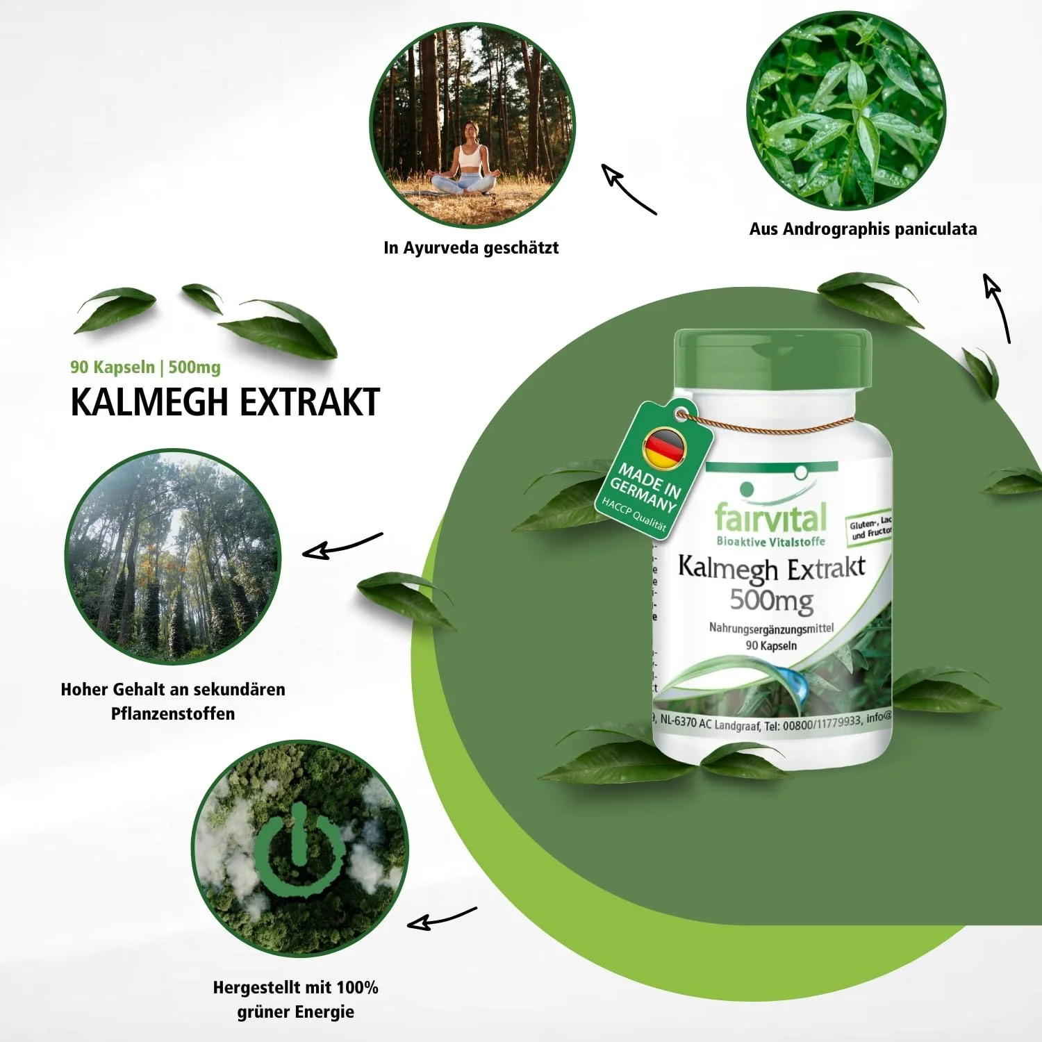Kalmegh Extrakt 500mg - 90 Kapseln - Schluckfreundlich - 5-fach konzentriert - Hochdosiert und Vegan | Fairvital