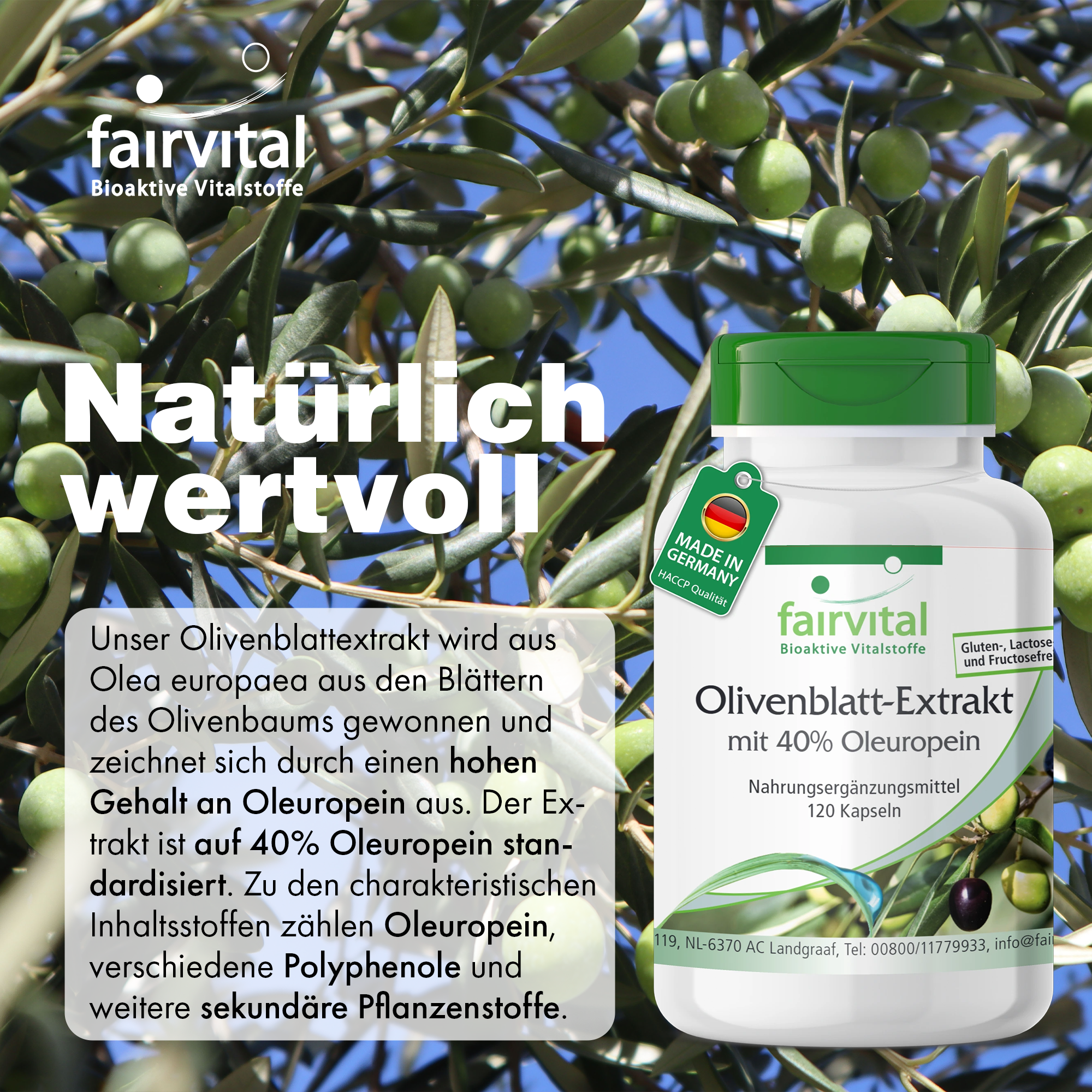 Olivenblatt-Extrakt mit 40% Oleuropein - 120 Kapseln - vegan | Fairvital