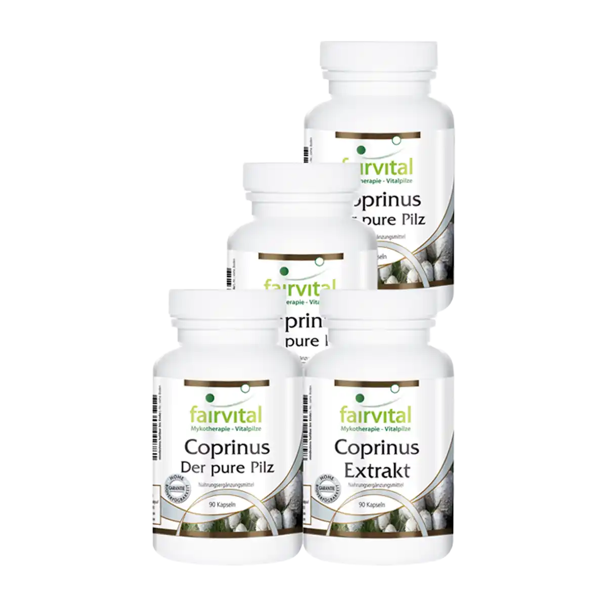 Coprinus cura trimestrale - 4 x 90 capsule