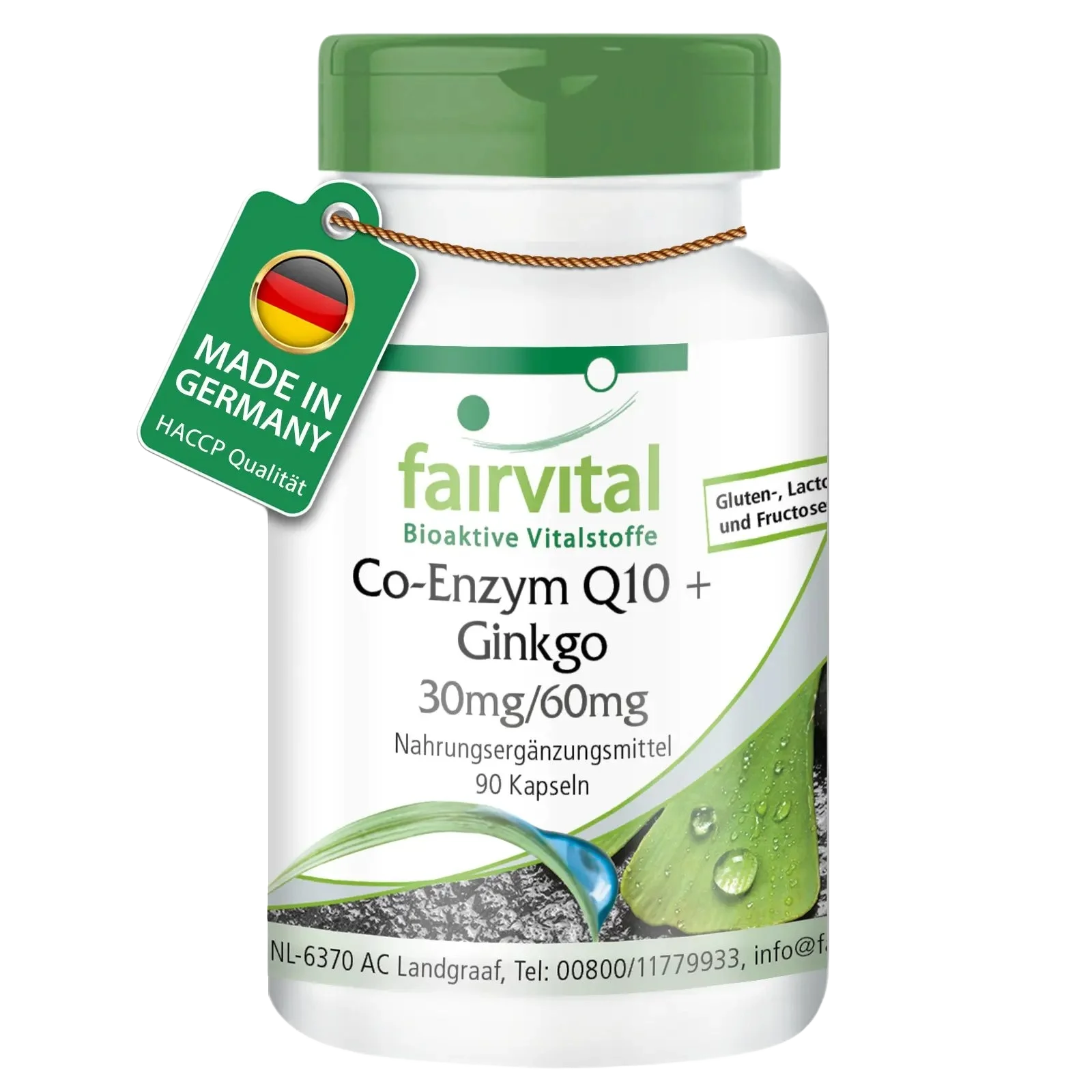 Coenzyme Q10 plus Ginkgo - 90 gélules