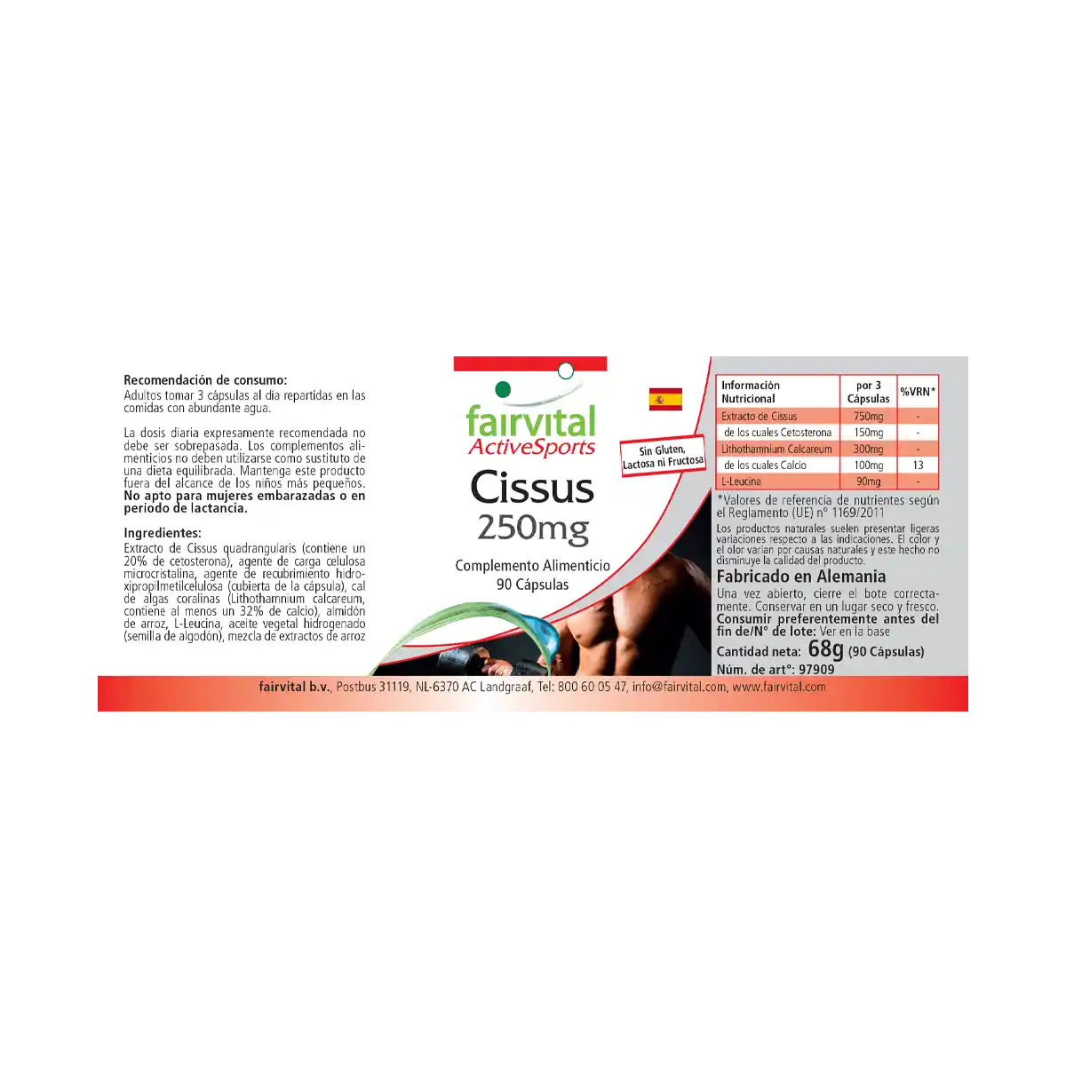 Cissus 250mg - 90 Kapseln - Cissus Quadrangularis - Hochdosiert und Vegan | Fairvital Cissus 250mg - 90 Kapseln - Cissus Quadrangularis - Hochdosiert und Vegan | Fairvital