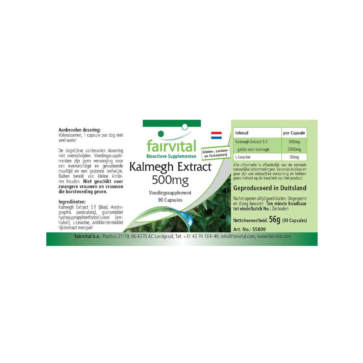 Kalmegh Extrakt 500mg - 90 Kapseln - 5-fach konzentriert - Hochdosiert und Vegan | Fairvital Kalmegh Extrakt 500mg - 90 Kapseln - 5-fach konzentriert - Hochdosiert und Vegan | Fairvital