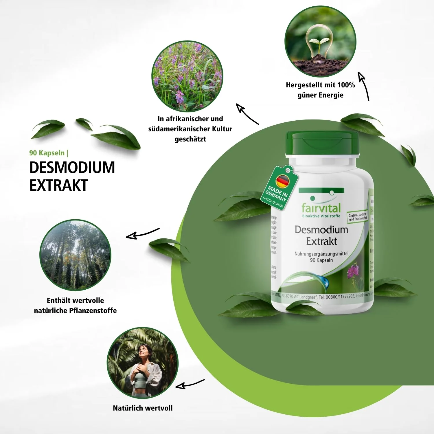 Estratto di Desmodium