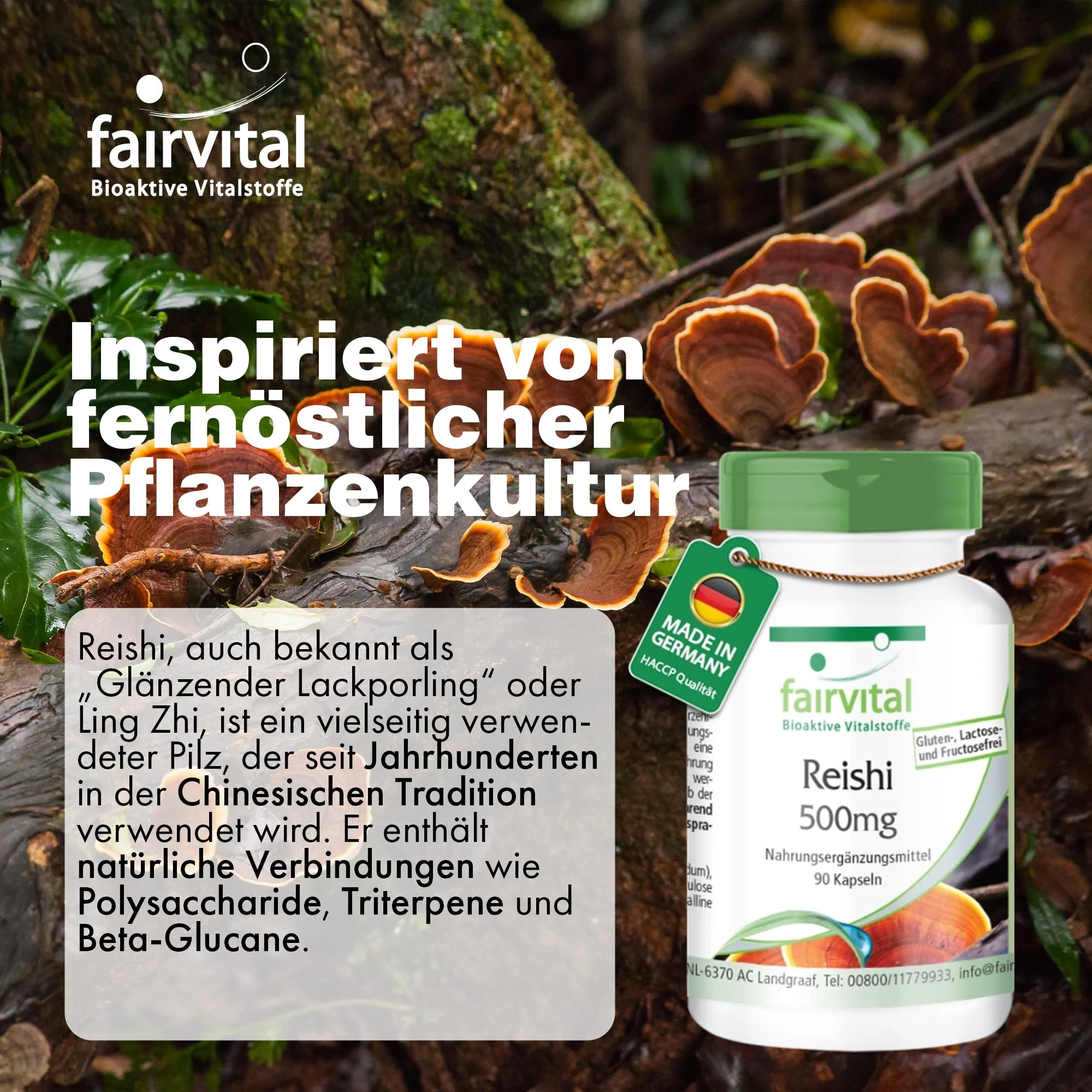 Reishi 500mg - 90 Kapseln - Schluckfreundlich - Ganoderma lucidum Pilzpulver - Hochdosiert und Vegan | Fairvital