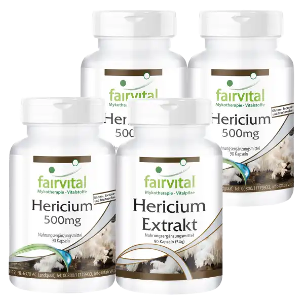 Hericium supply for 3 months - 4 x 90 capsules