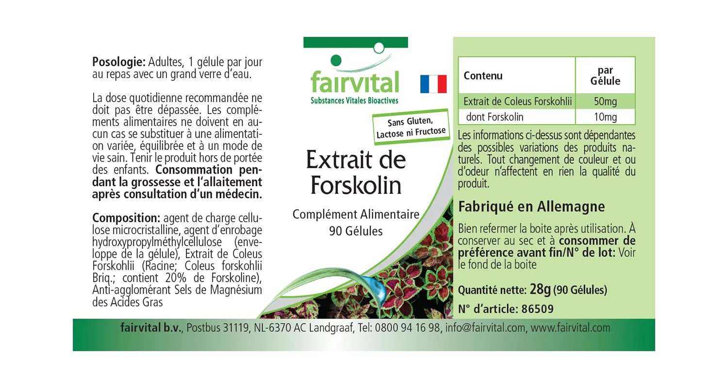 Forskolin Extrakt - 90 Kapseln - aus Coleus Forskohlii Extrakt - Hochdosiert und Vegan | Fairvital Forskolin Extrakt - 90 Kapseln - aus Coleus Forskohlii Extrakt - Hochdosiert und Vegan | Fairvital