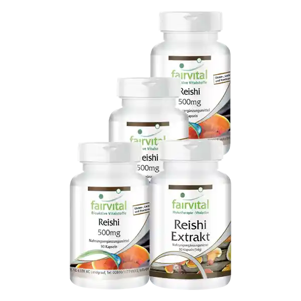 Reishi supply for 3 months - 4 x 90 capsules