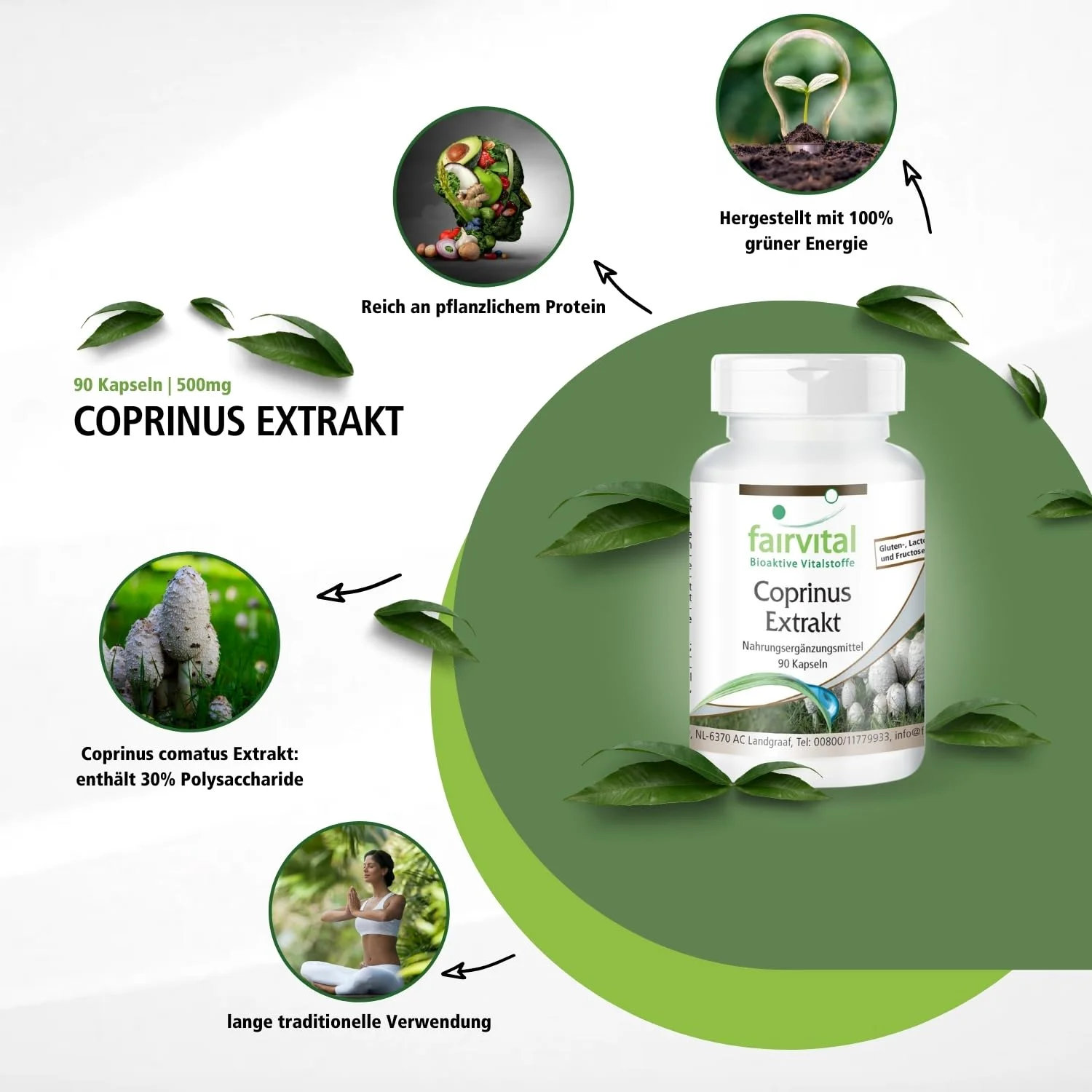 Coprinus extract - 90 capsules