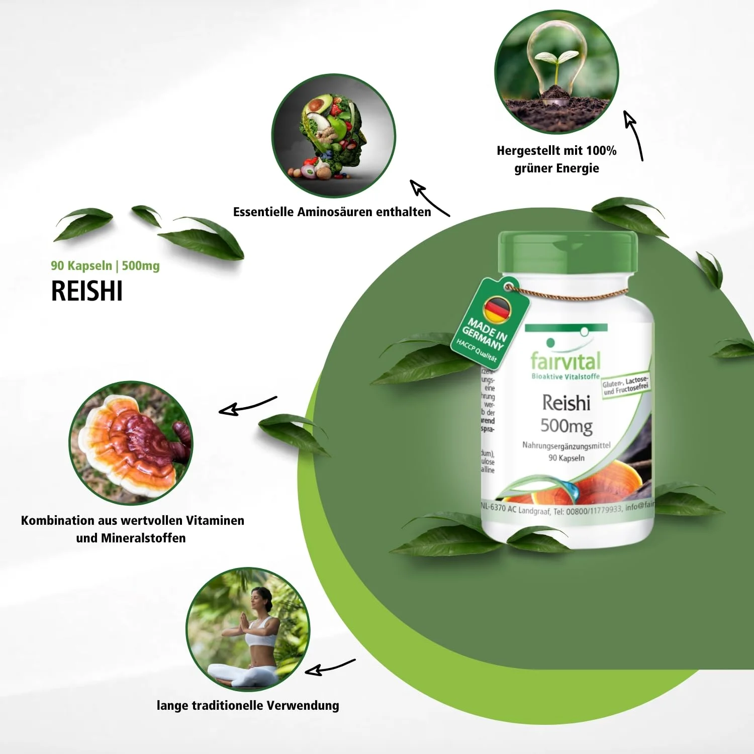 Reishi 500mg - 90 gélules