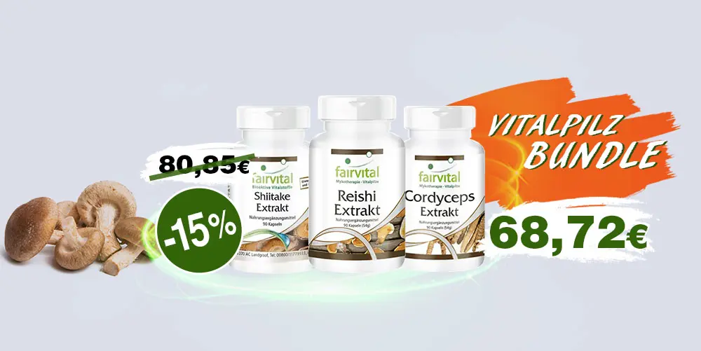 07-set-vitalpilze-01