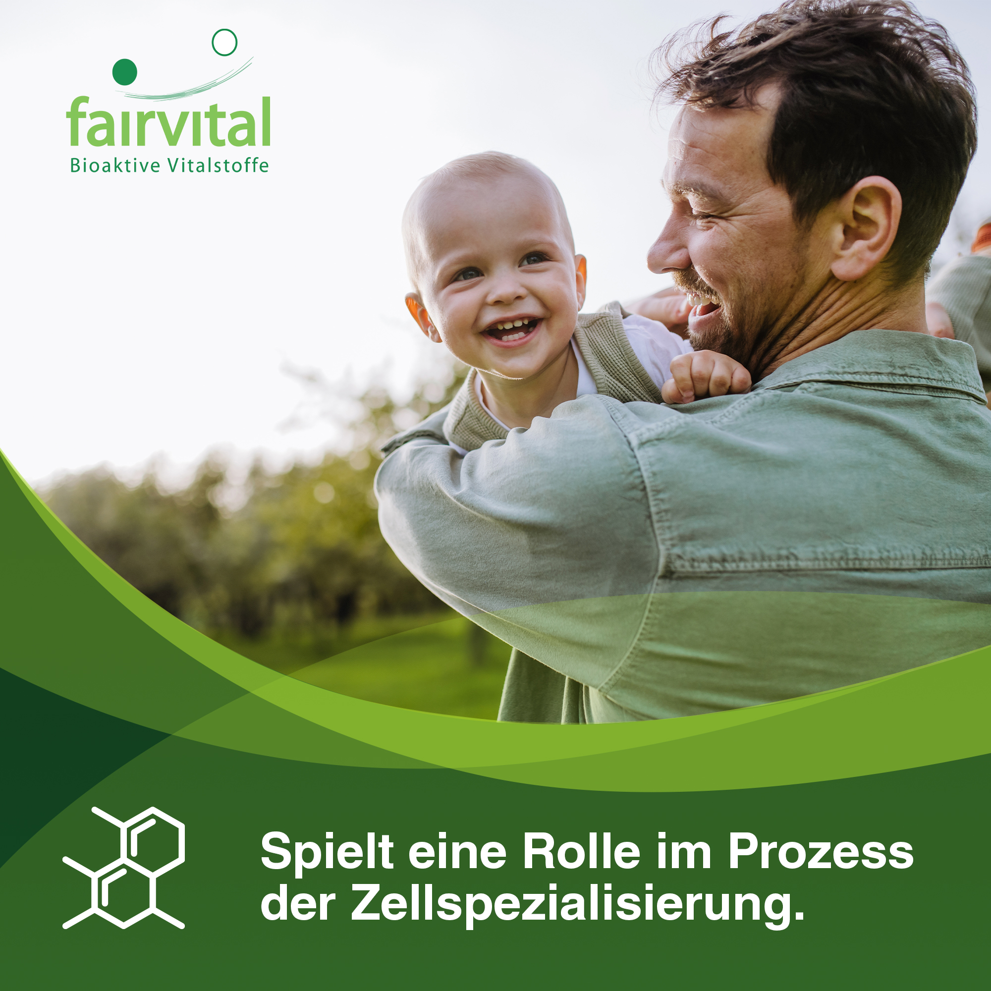 Augenvitamine - 60 Tabletten - mit Vitamin A, Riboflavin, Zink, uvm. - für Sehkraft, Zellteilung uvm. | Fairvital Augenvitamine - 60 Tabletten - mit Vitamin A, Riboflavin, Zink, uvm. - für Sehkraft, Zellteilung uvm. | Fairvital