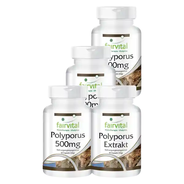 Polyporus supply for 3 months - 4 x 90 capsules