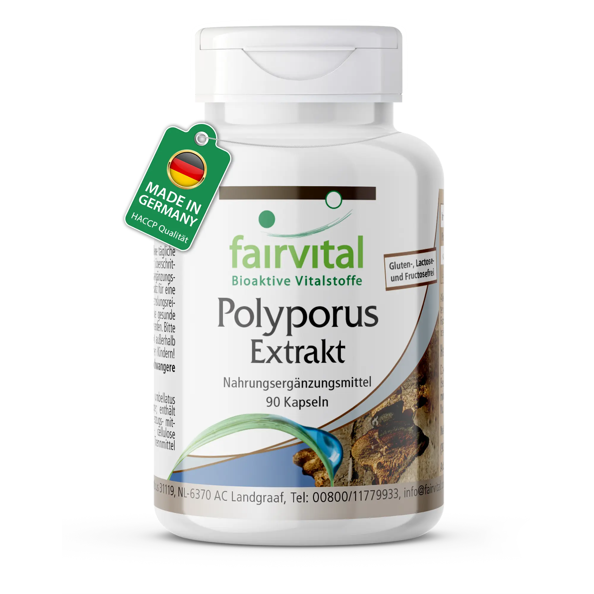 Extracto de Polyporus 500mg - 90 cápsulas