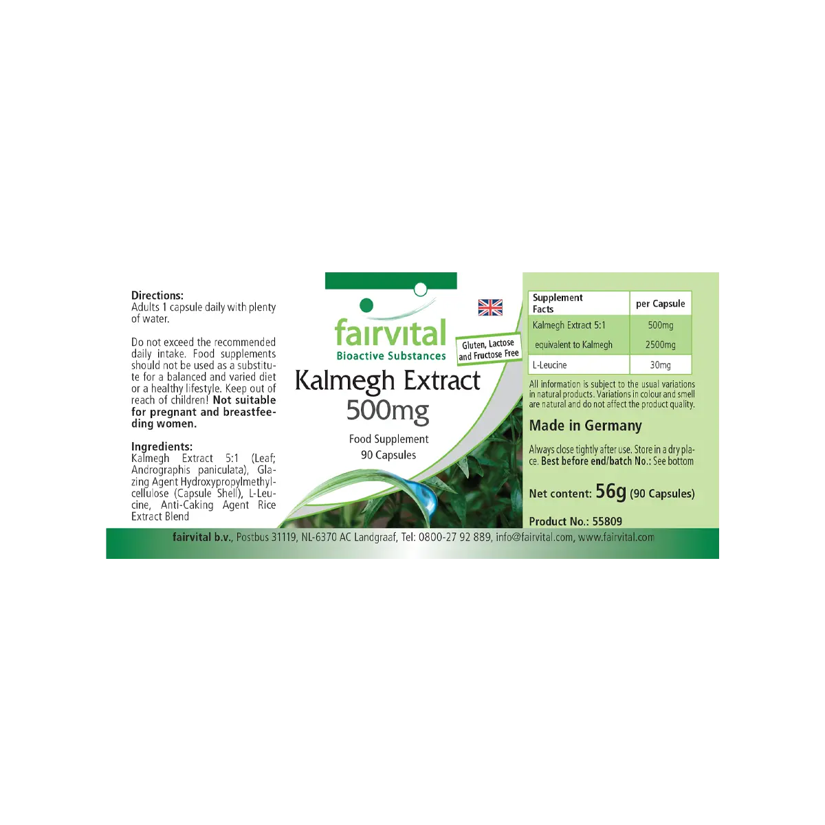 Kalmegh Extrakt 500mg - 90 Kapseln - 5-fach konzentriert - Hochdosiert und Vegan | Fairvital Kalmegh Extrakt 500mg - 90 Kapseln - 5-fach konzentriert - Hochdosiert und Vegan | Fairvital