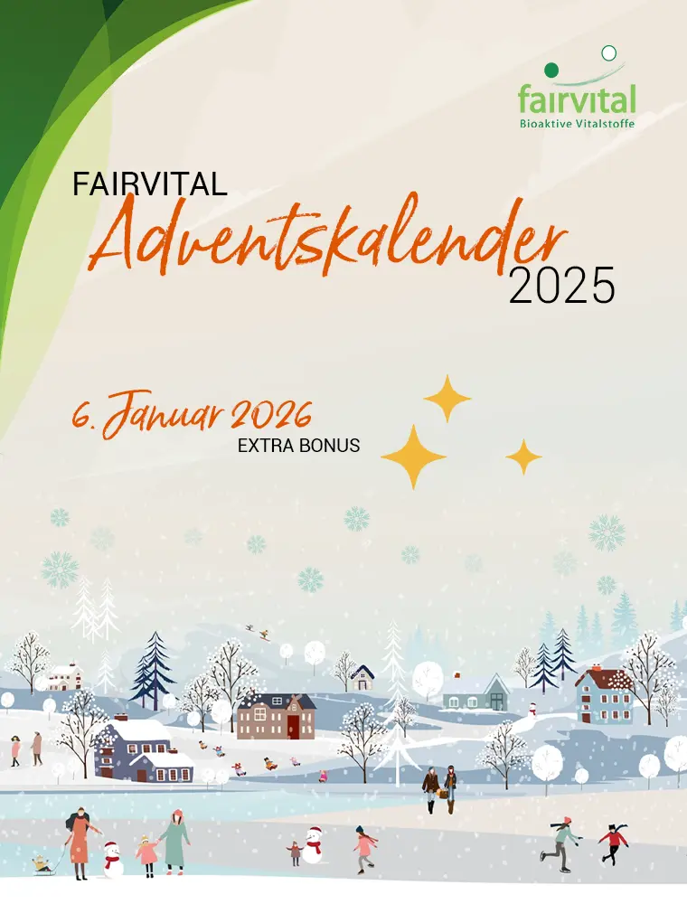 Fairvital Adventskalender PDF Vorschau