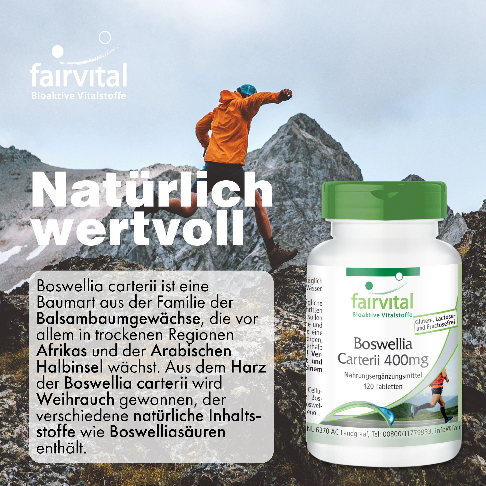 Boswellia Carterii 400mg