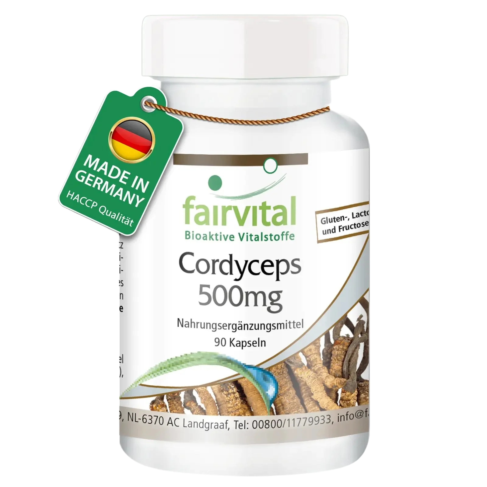 Cordyceps 500mg - 90 capsule