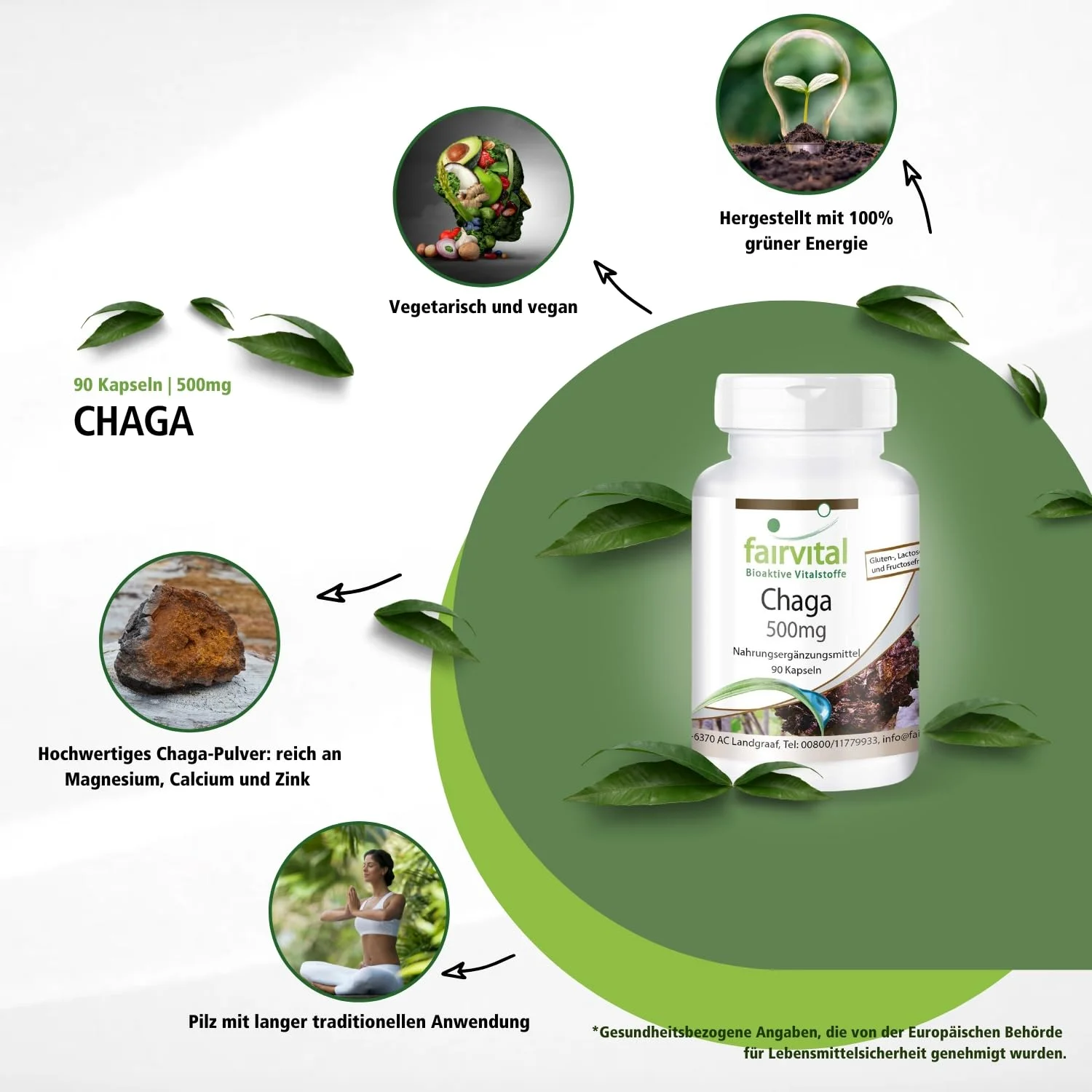 Chaga - Hongo medicinal 500mg - 90 Cápsulas