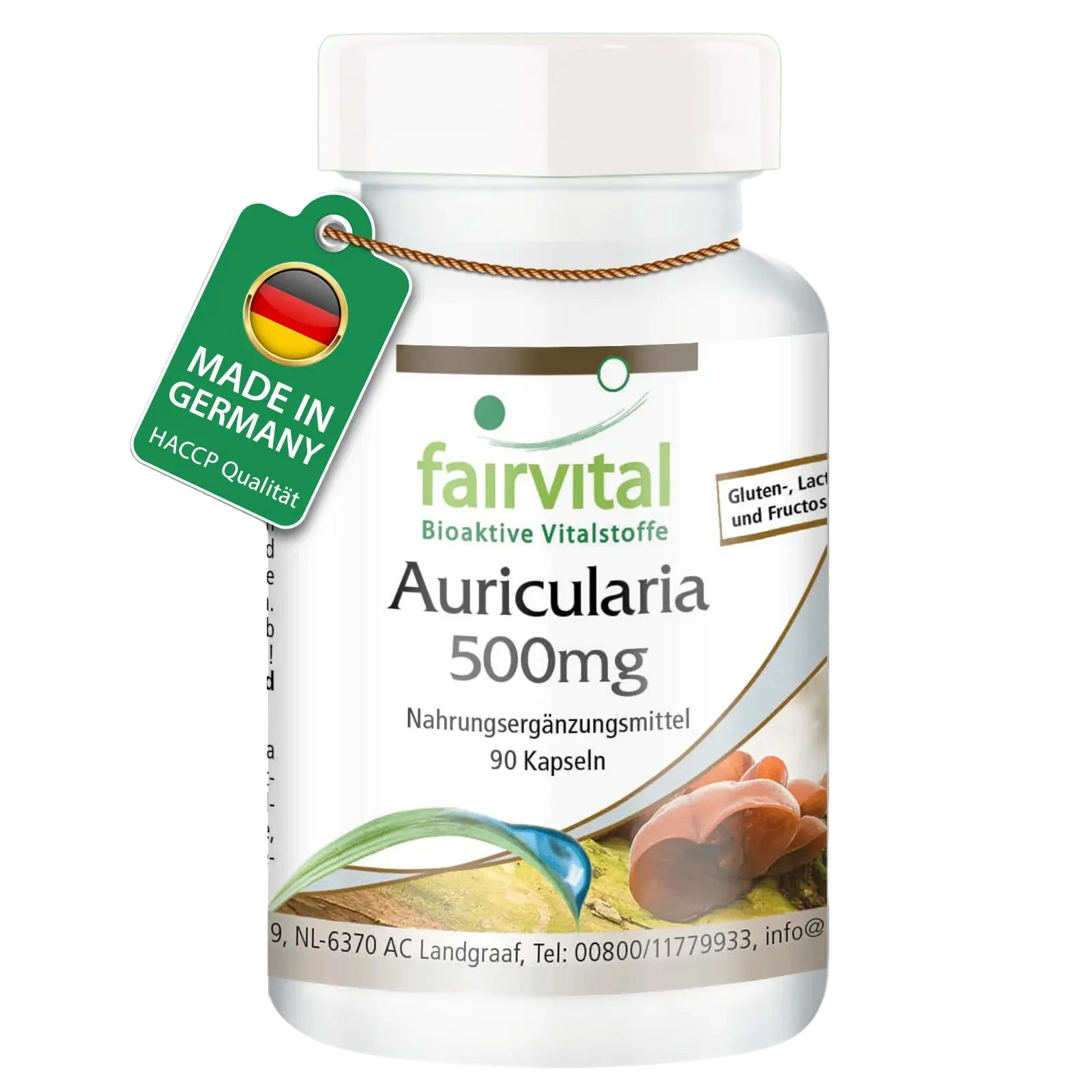 Auricularia 500mg - 90 capsule