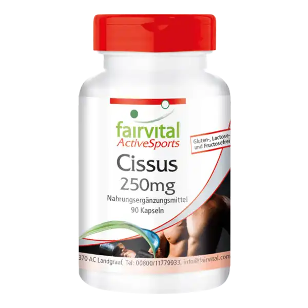 Cissus extract 250mg - 90 Capsules