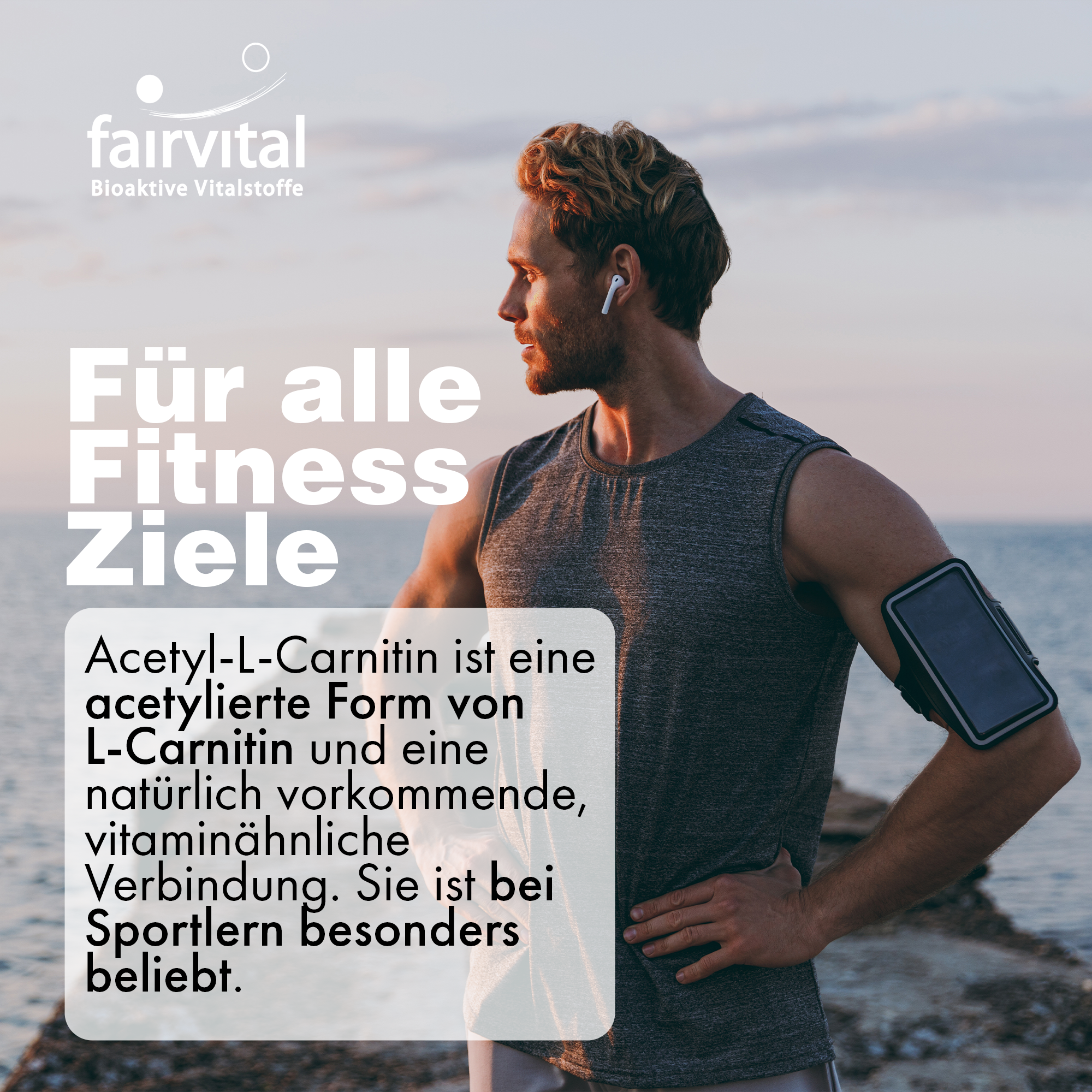Acetyl-L-Carnitin - 120 Kapseln - Hochdosiert und Vegan | Fairvital