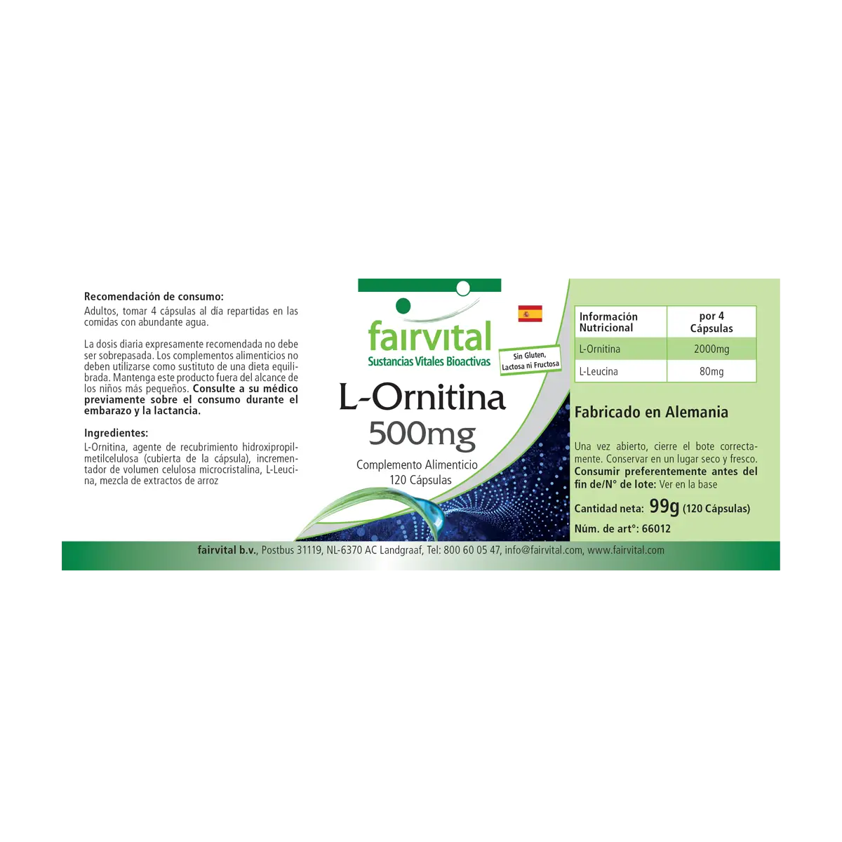 L-Ornithin 500mg  - 120 Kapseln - Hochdosiert und Vegan | Fairvital L-Ornithin 500mg  - 120 Kapseln - Hochdosiert und Vegan | Fairvital