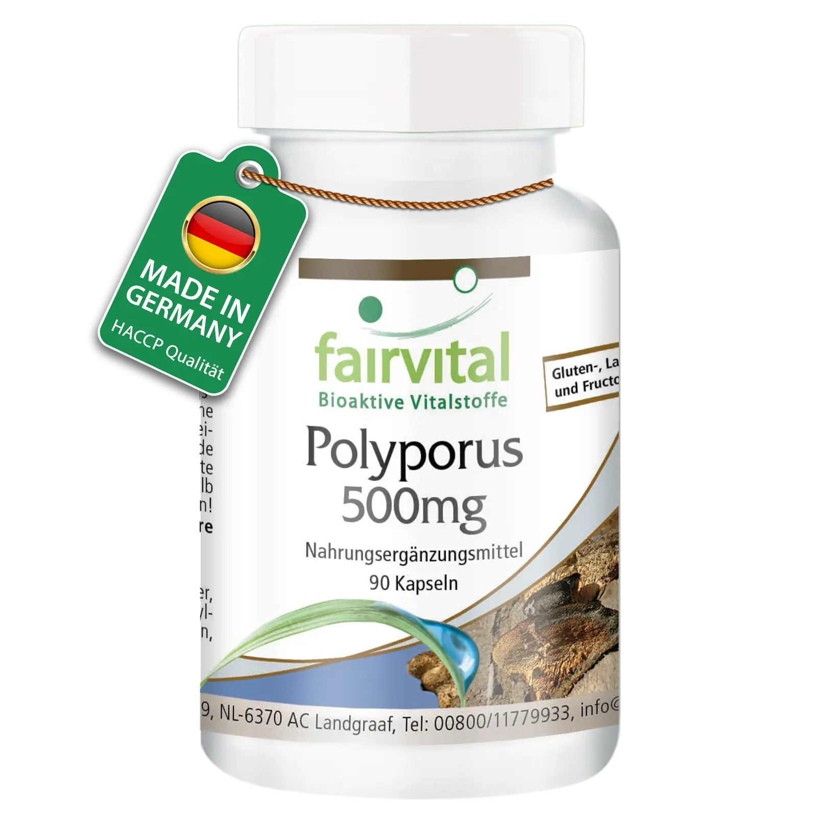 Polyporus 500mg - le champignon pur - 90 gélules