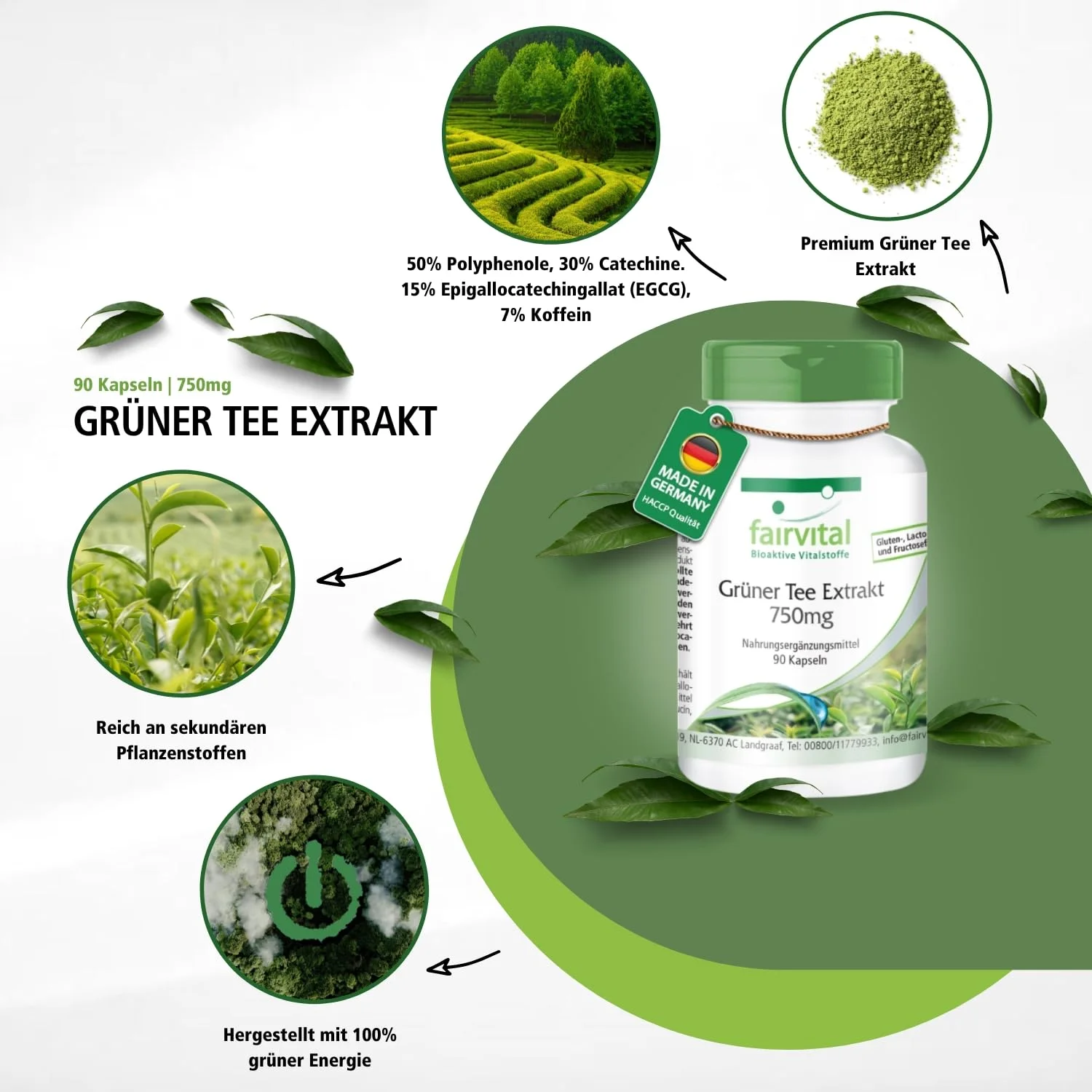 Estratto di caffè verde 500mg - 90 capsule