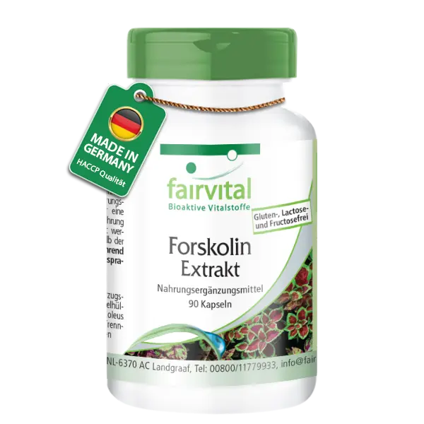 Forskolin Extrakt