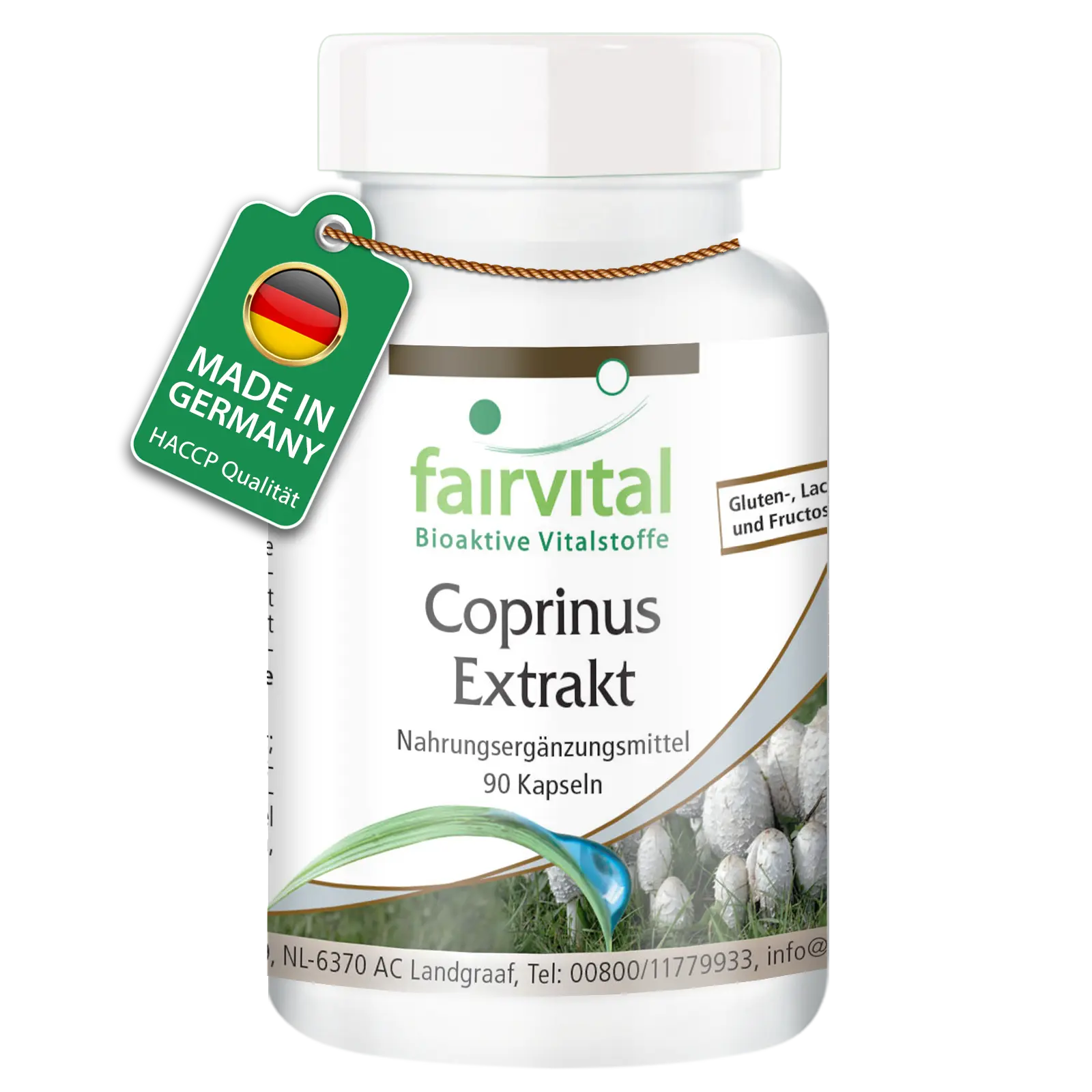 Estratto di Coprinus 500mg - 90 capsule