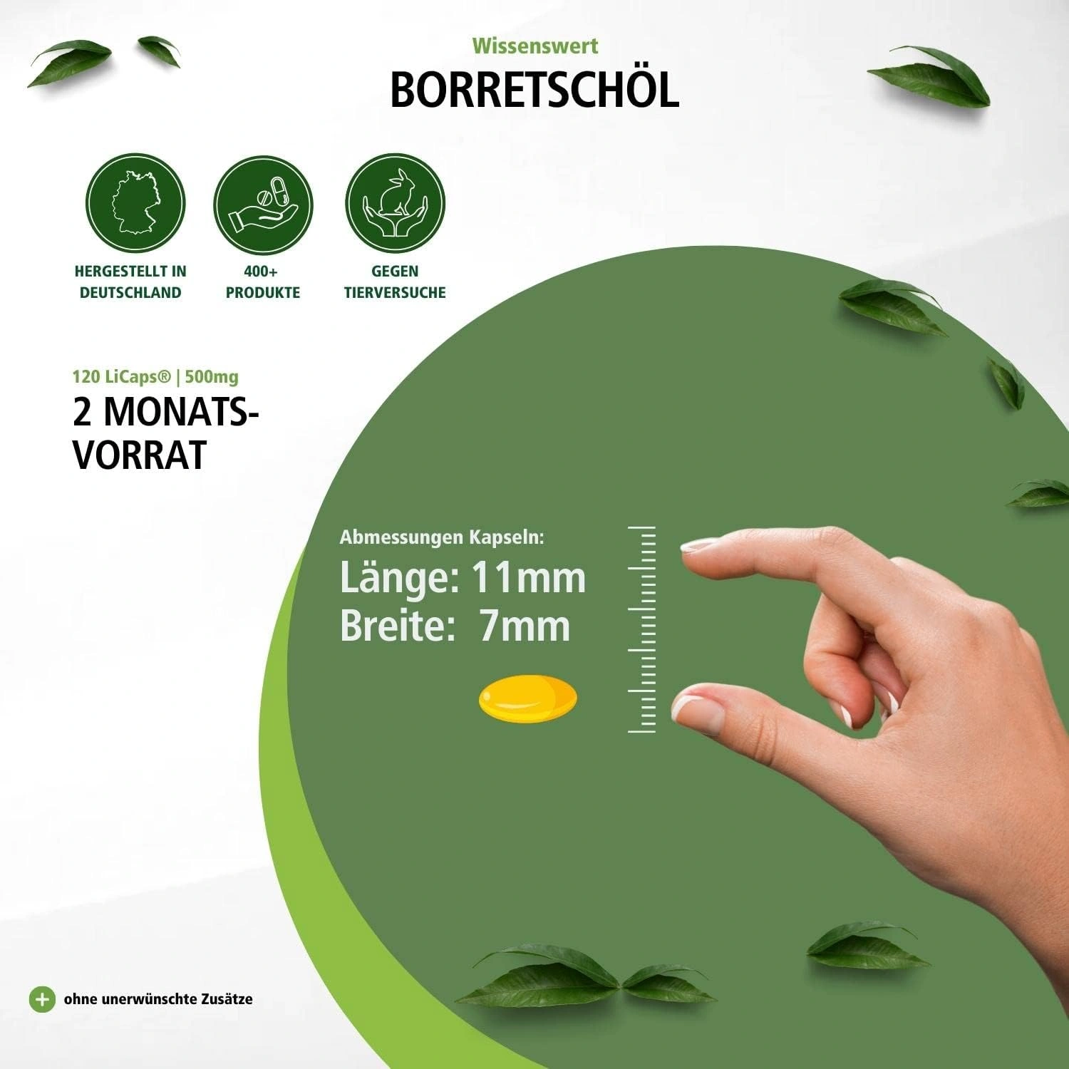 Borretschöl 500mg - 120 Licaps® - schluckfreundlich - kaltgepresst - reich an Gamma-Linolensäure (Omega-6) - vegan | Fairvital